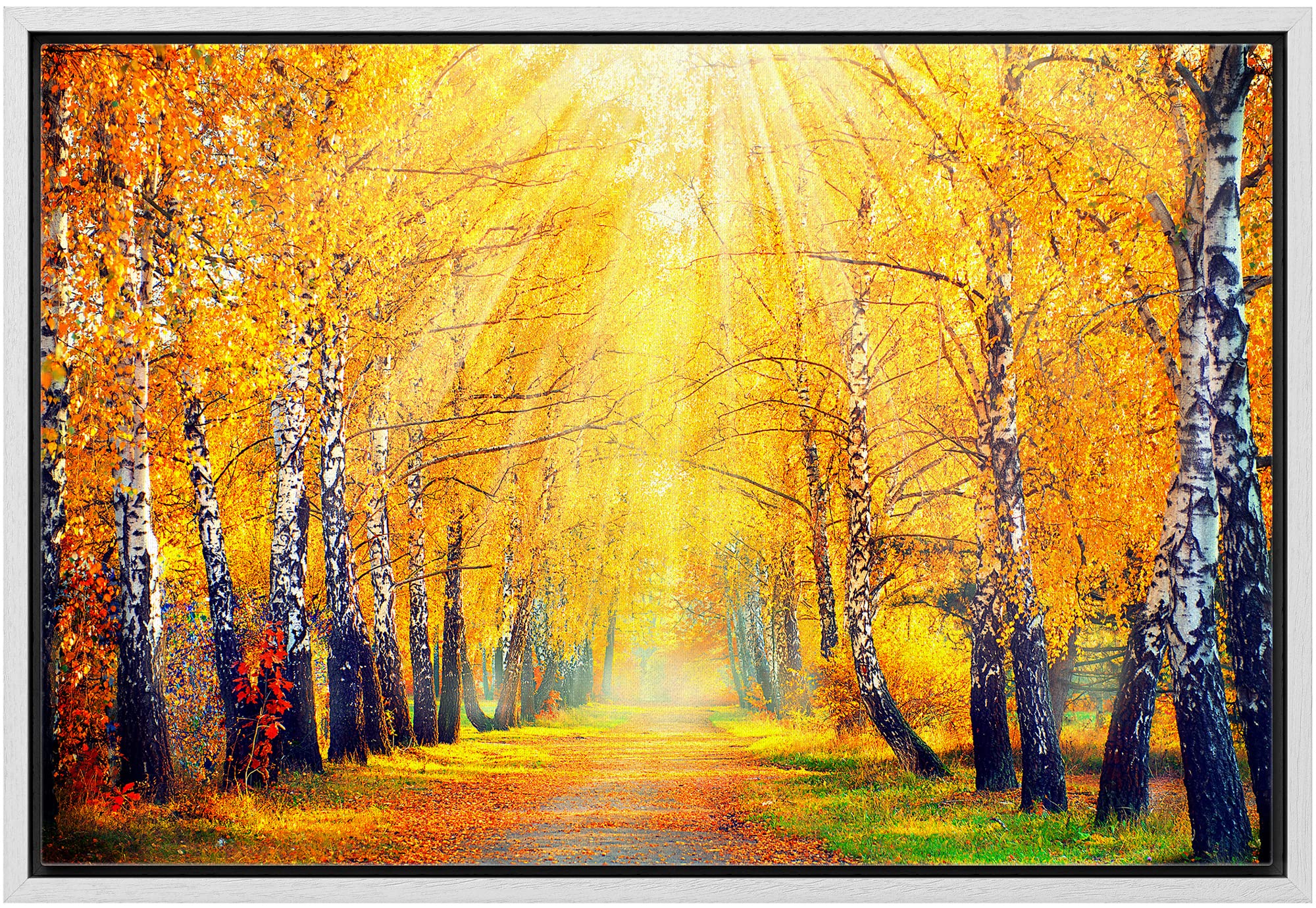 Wall26 Framed Canvas Print Wall Art Sunlight Shine Over Yellow Autumn Forest Path Nature Wilderness Photography Modern Art Rusti