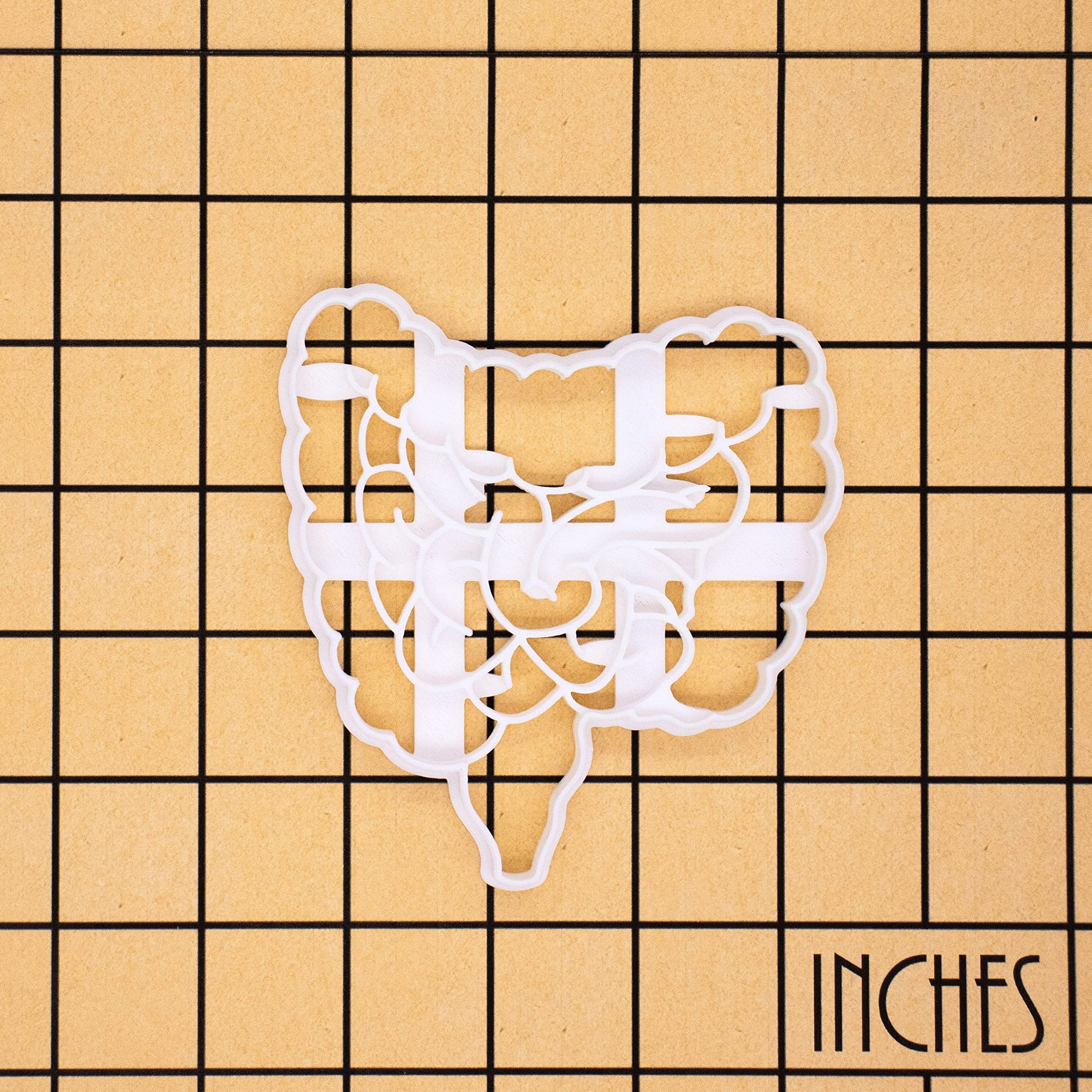 Intestines Cookie Cutter, 1 Piece - Bakerlogy