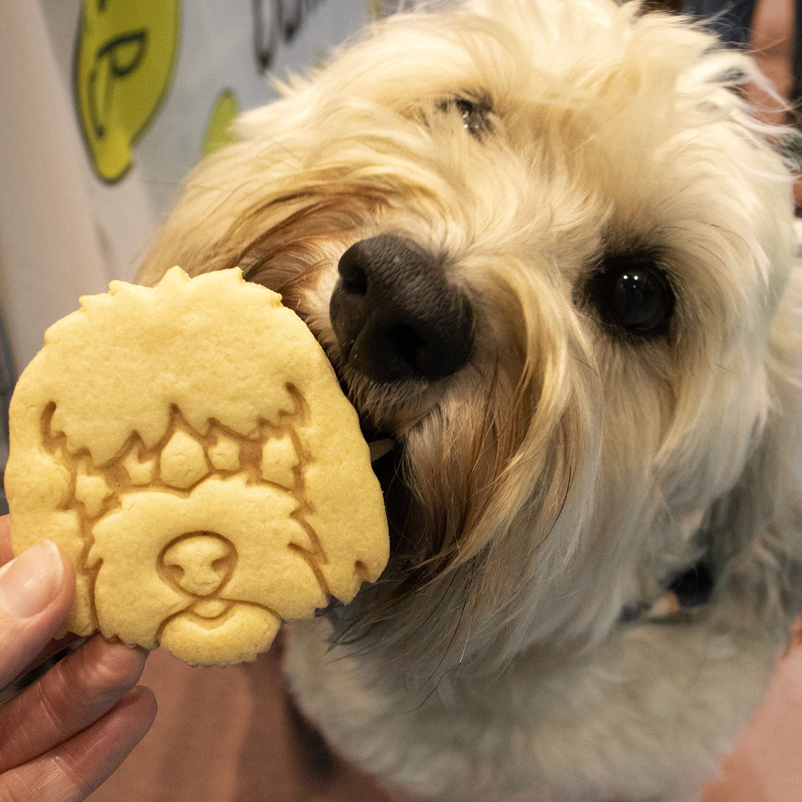 Goldendoodle Face Cookie Cutter, 1 Piece - Bakerlogy