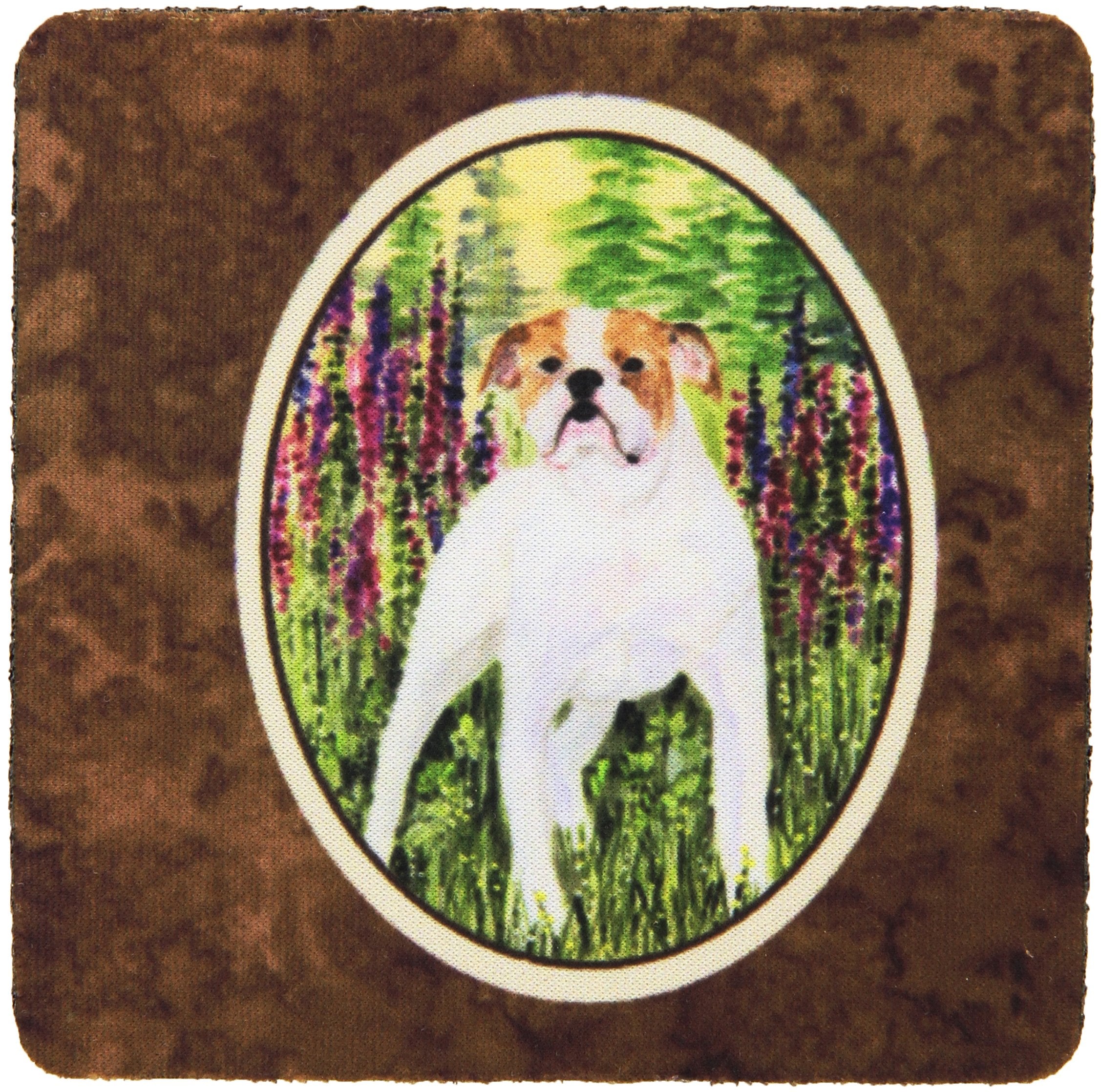 Carolines Treasures English Bulldog Foam Coasters (Set of 4), 3.5 H x 3.5 W, Multicolor
