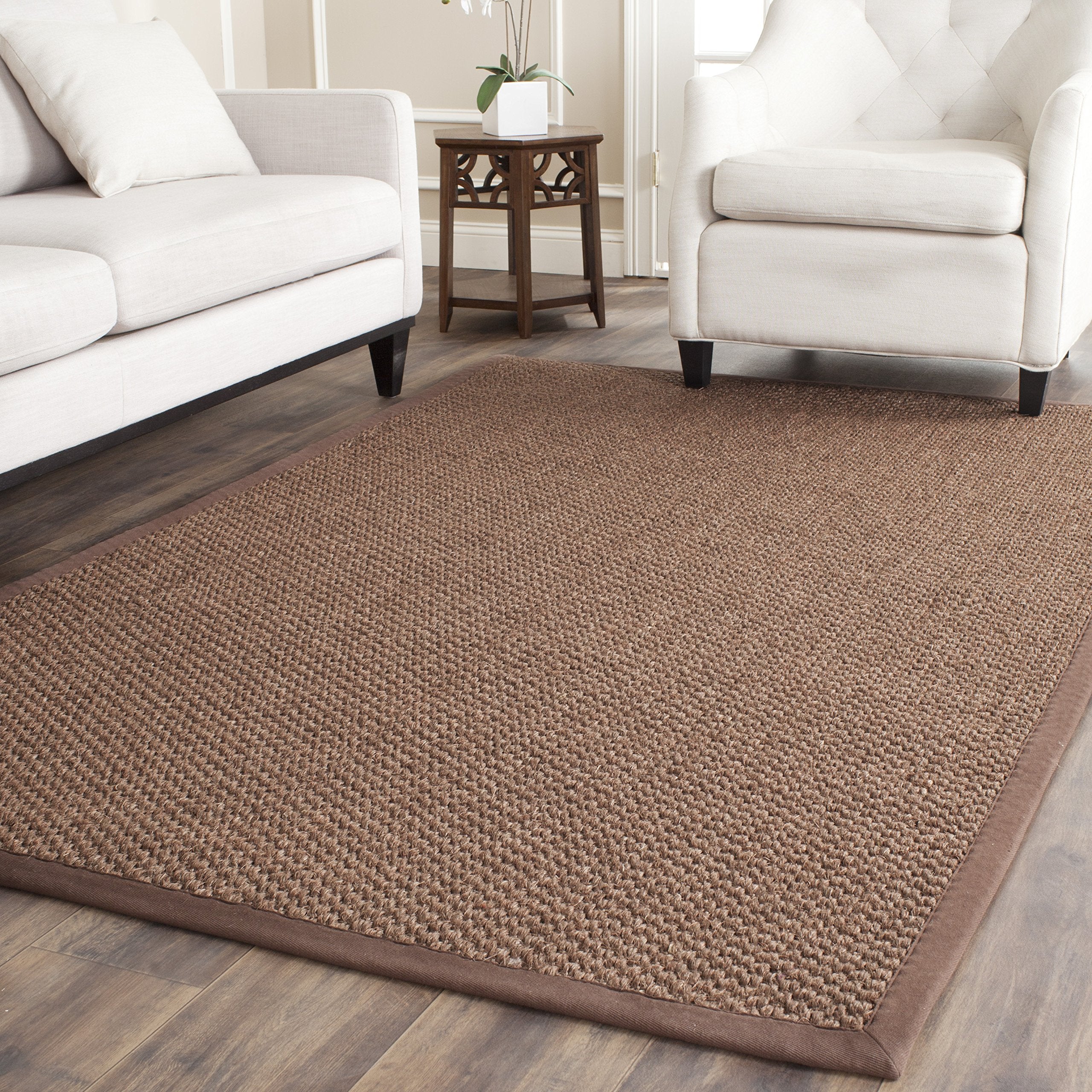 SAFAVIEH Natural Fiber Collection Accent Rug - 4 x 6, Chocolate, Sisal Design, Easy Care, Ideal for High Traffic Areas in Entr