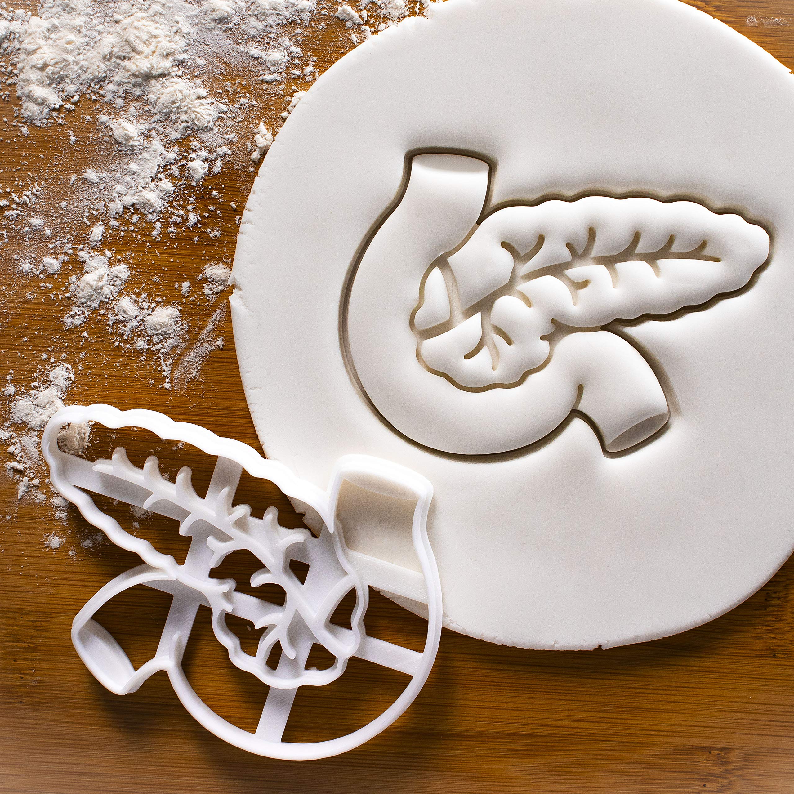 Pancreas Cookie Cutter, 1 Piece - Bakerlogy