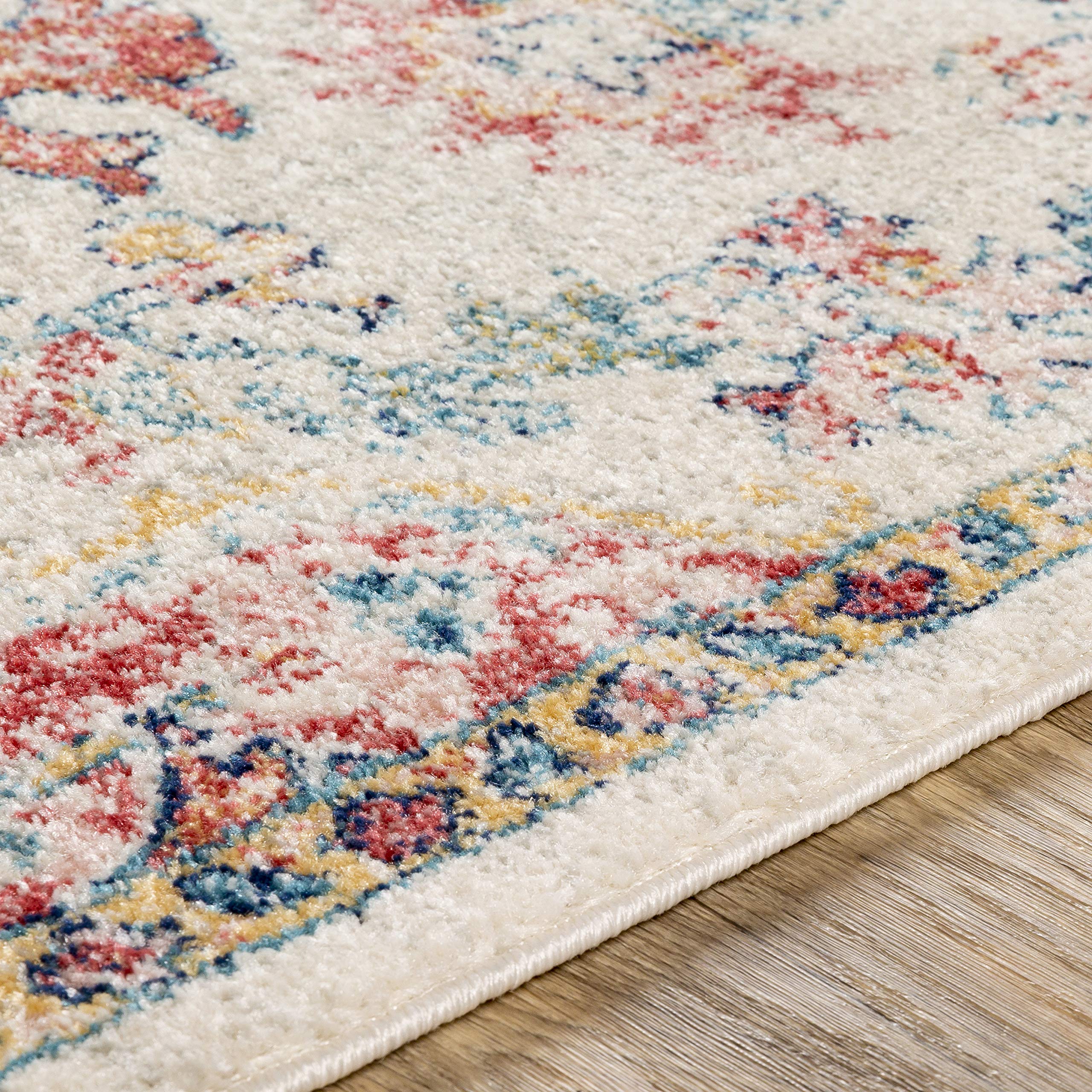 Livabliss Area Rugs - 7x9 Odelia Vintage Boho Red Off-White Blue Area Rug for Living Room Bedroom - Floral Medallion Stain Resis