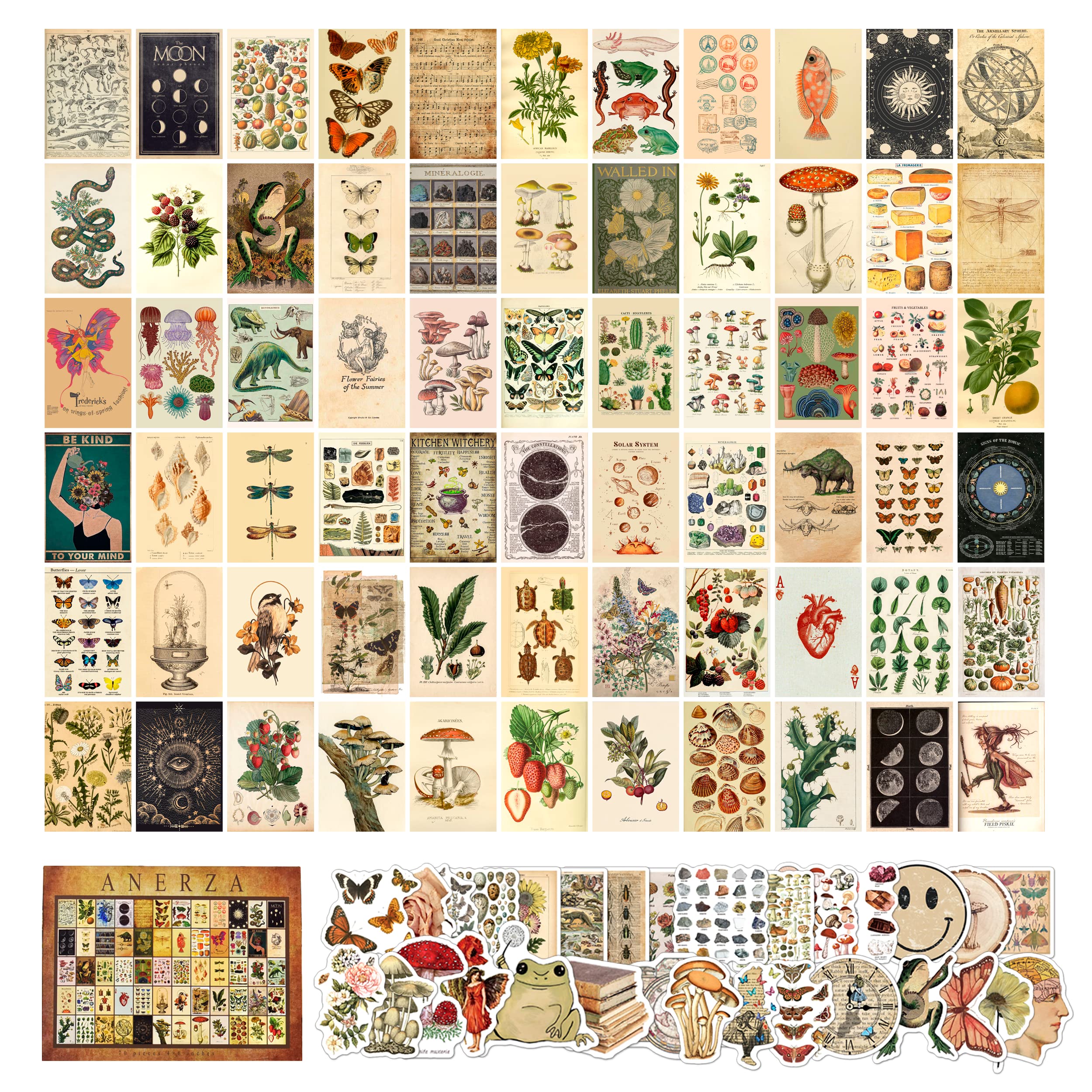Anerza 100 Pcs Vintage Wall Collage Kit Aesthetic Pictures, Cottagecore Room Decor For Bedroom Posters, Cute Dorm Photo For Teen