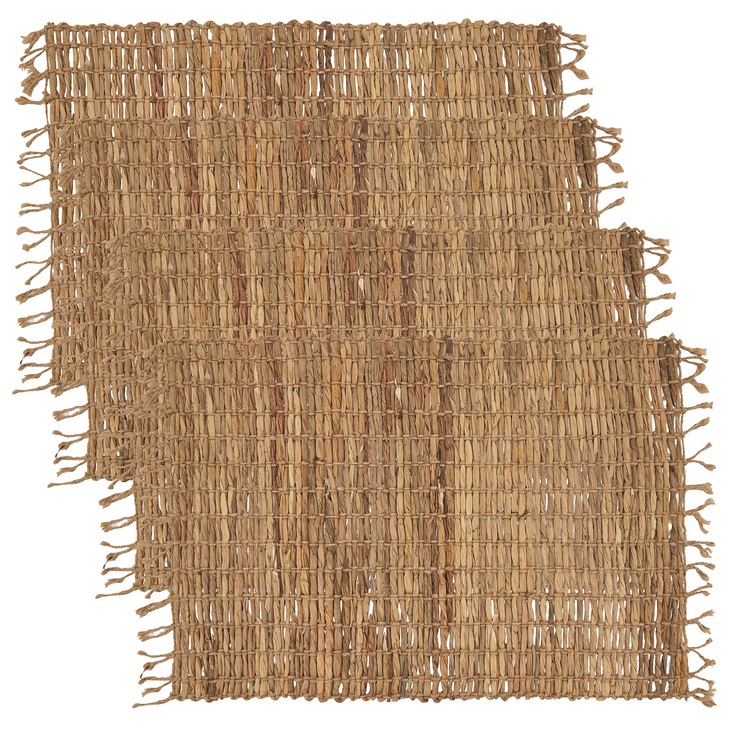 Water Hyacinth Placemats (Set Of 4)
