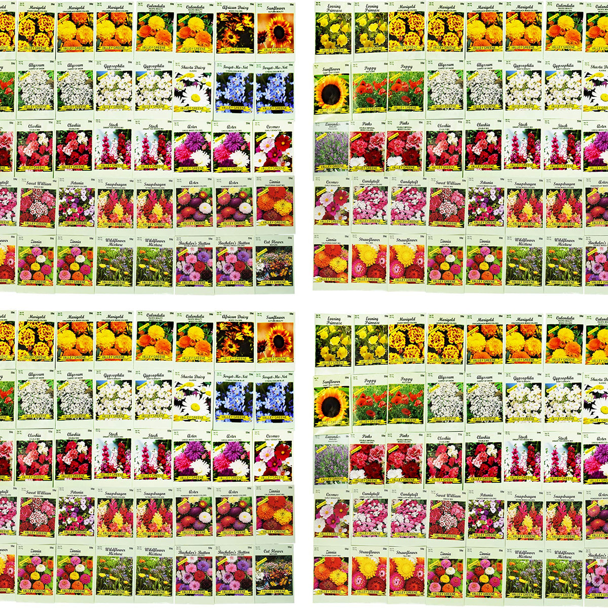 Set Of 200 Assorted Flower Seed Packets Flower Seeds In Bulk - 20 Vari ...