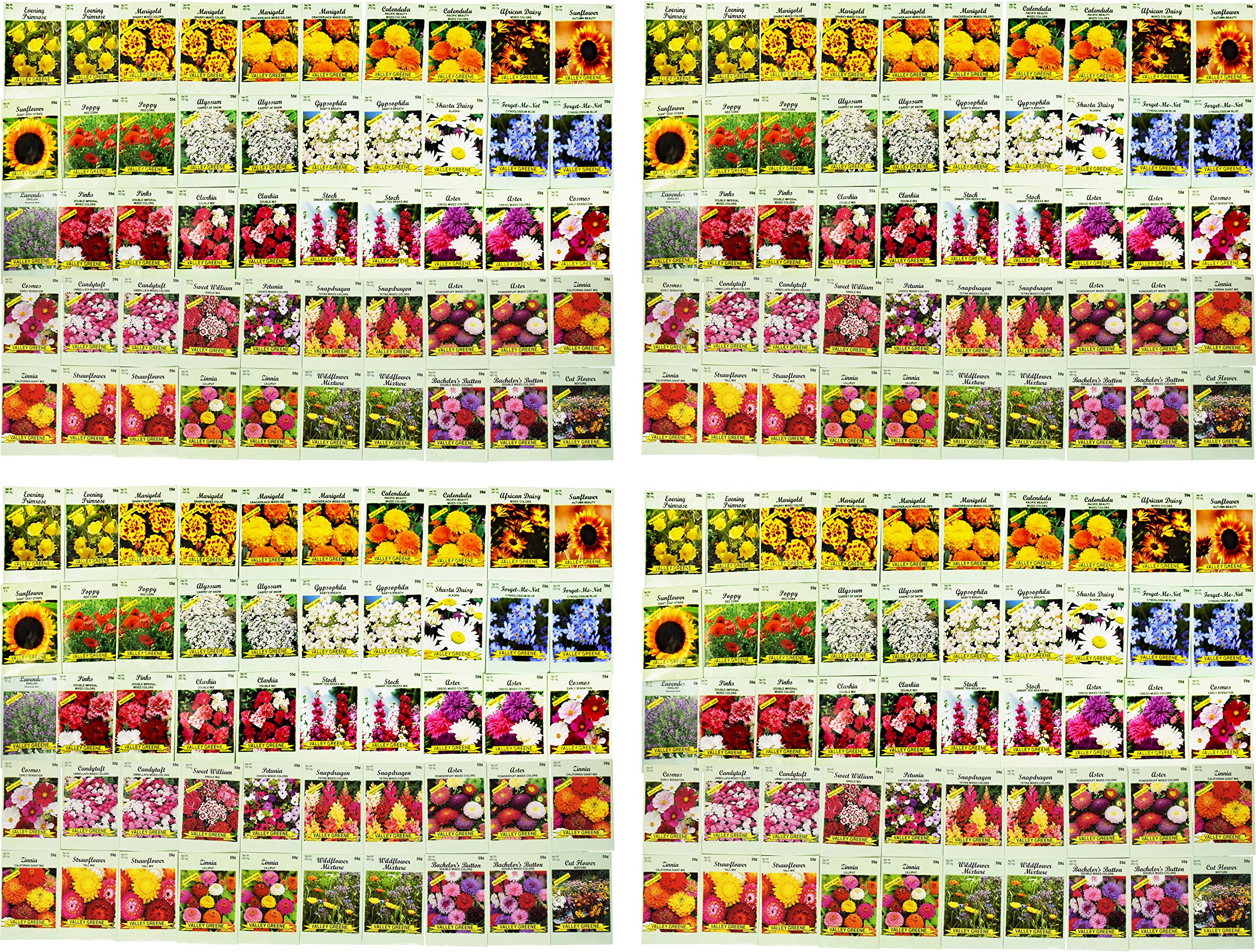 Set Of 200 Assorted Flower Seed Packets Flower Seeds In Bulk - 20 Varieties Available