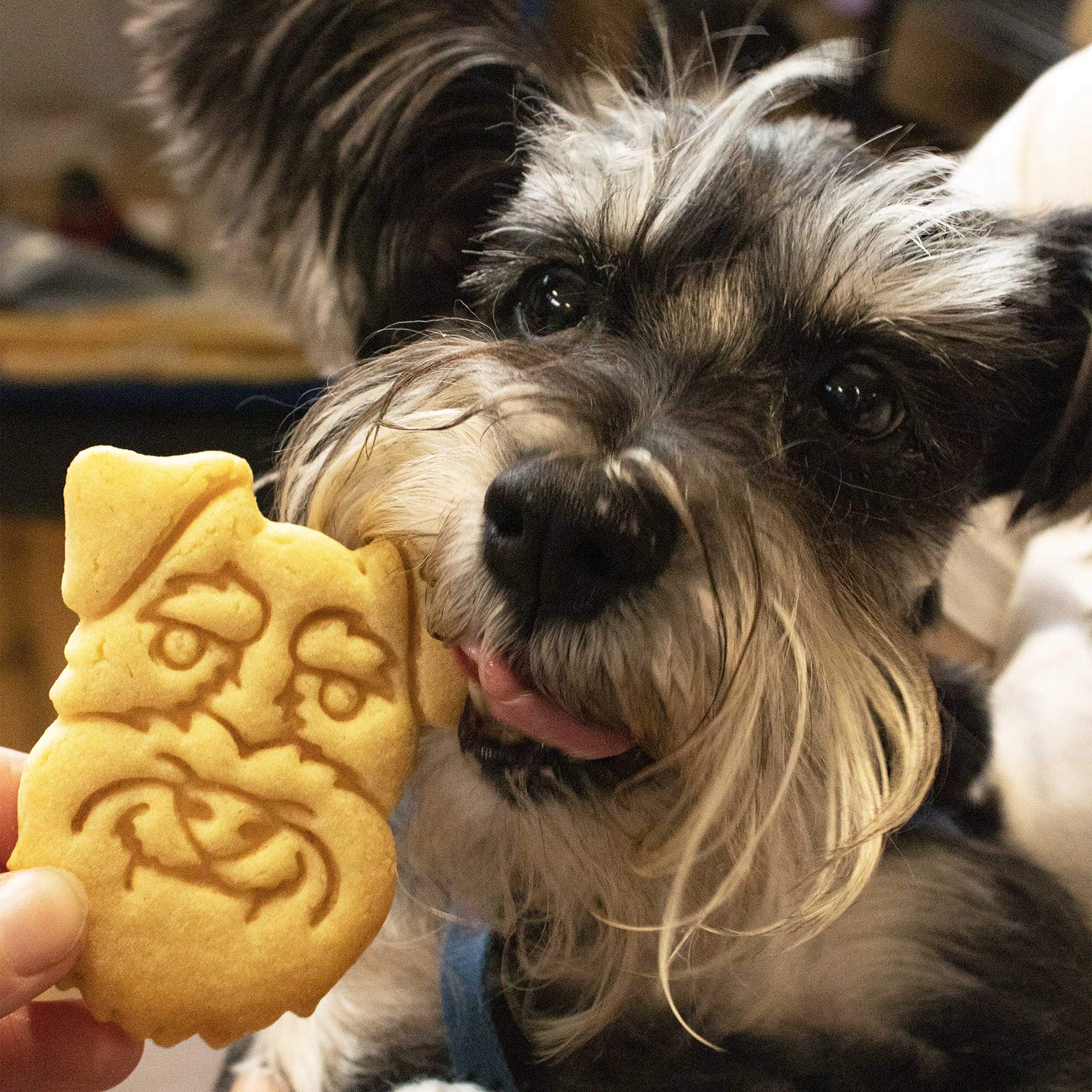 Mini Schnauzer Face Cookie Cutter, 1 Piece - Bakerlogy