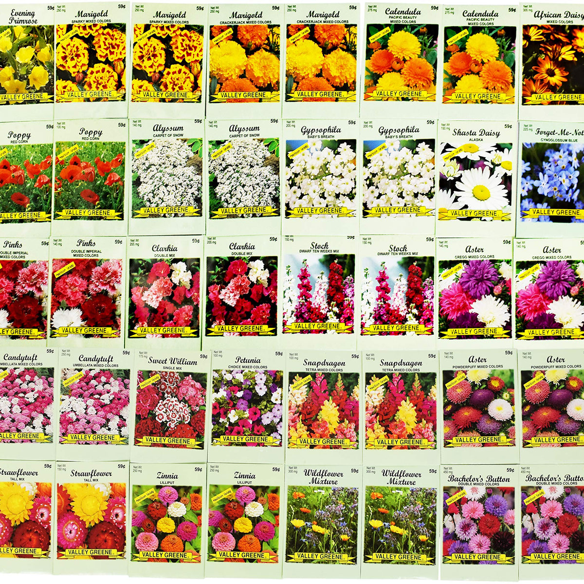 Set Of 200 Assorted Flower Seed Packets Flower Seeds In Bulk - 20 Vari ...