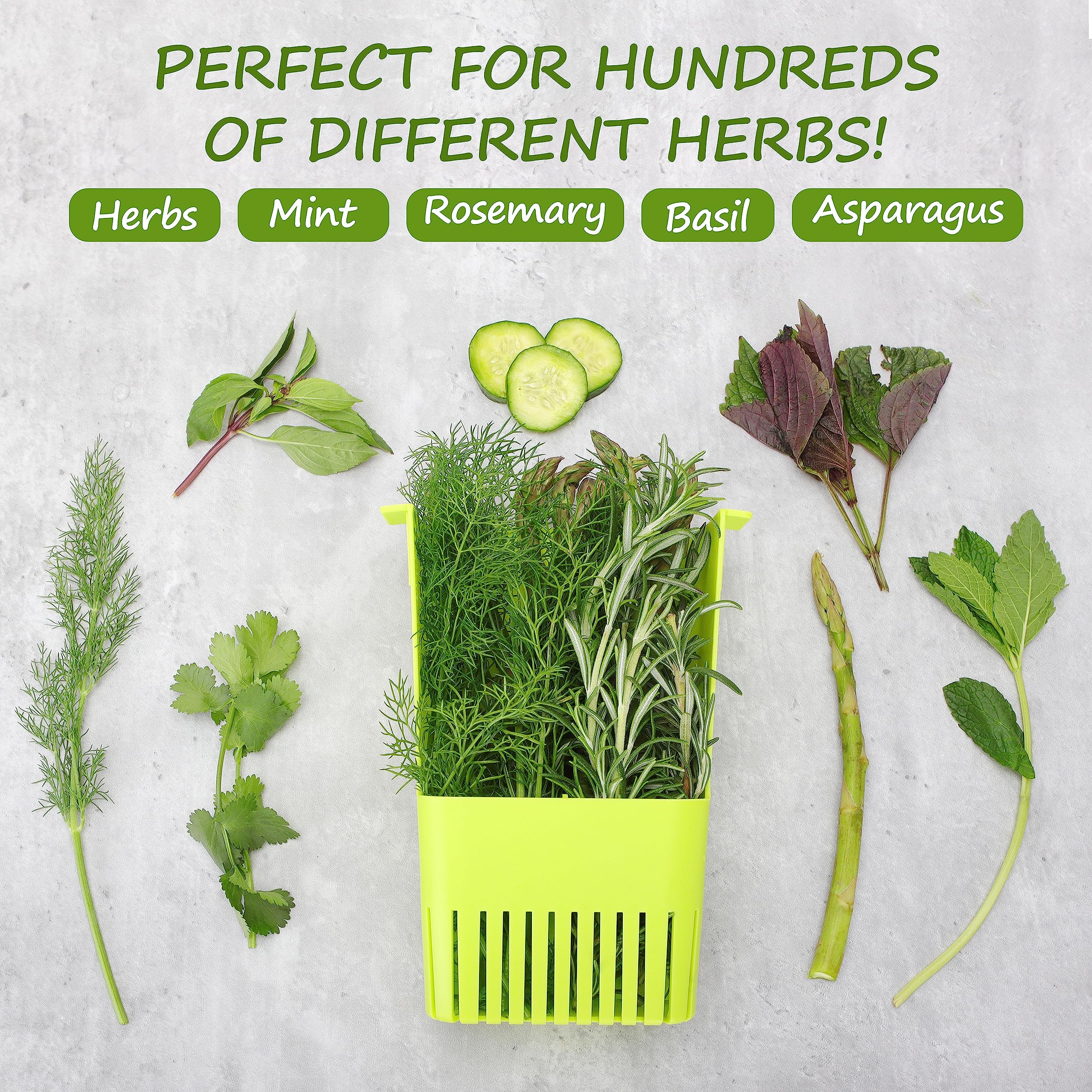 Lawnful 3 Pack Fresh Herb Keeper For Refrigerator, Clear Bpa-Free Herb Saver, Storage Container For Cilantro, Parsley, Thyme, Mi