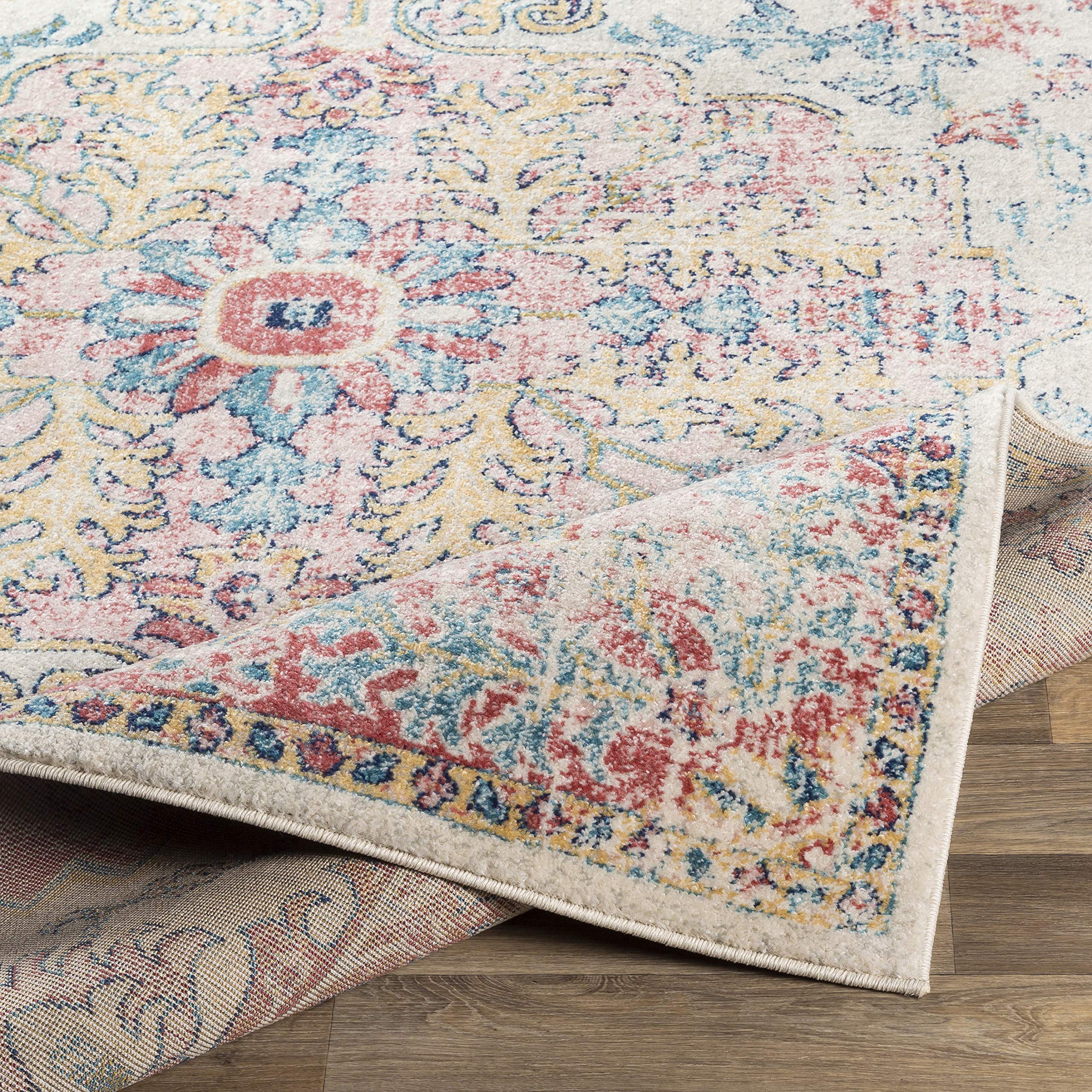 Livabliss Area Rugs - 8x10 Odelia Vintage Boho Red Off-White Blue Area Rug for Living Room Bedroom - Floral Medallion Stain Resi