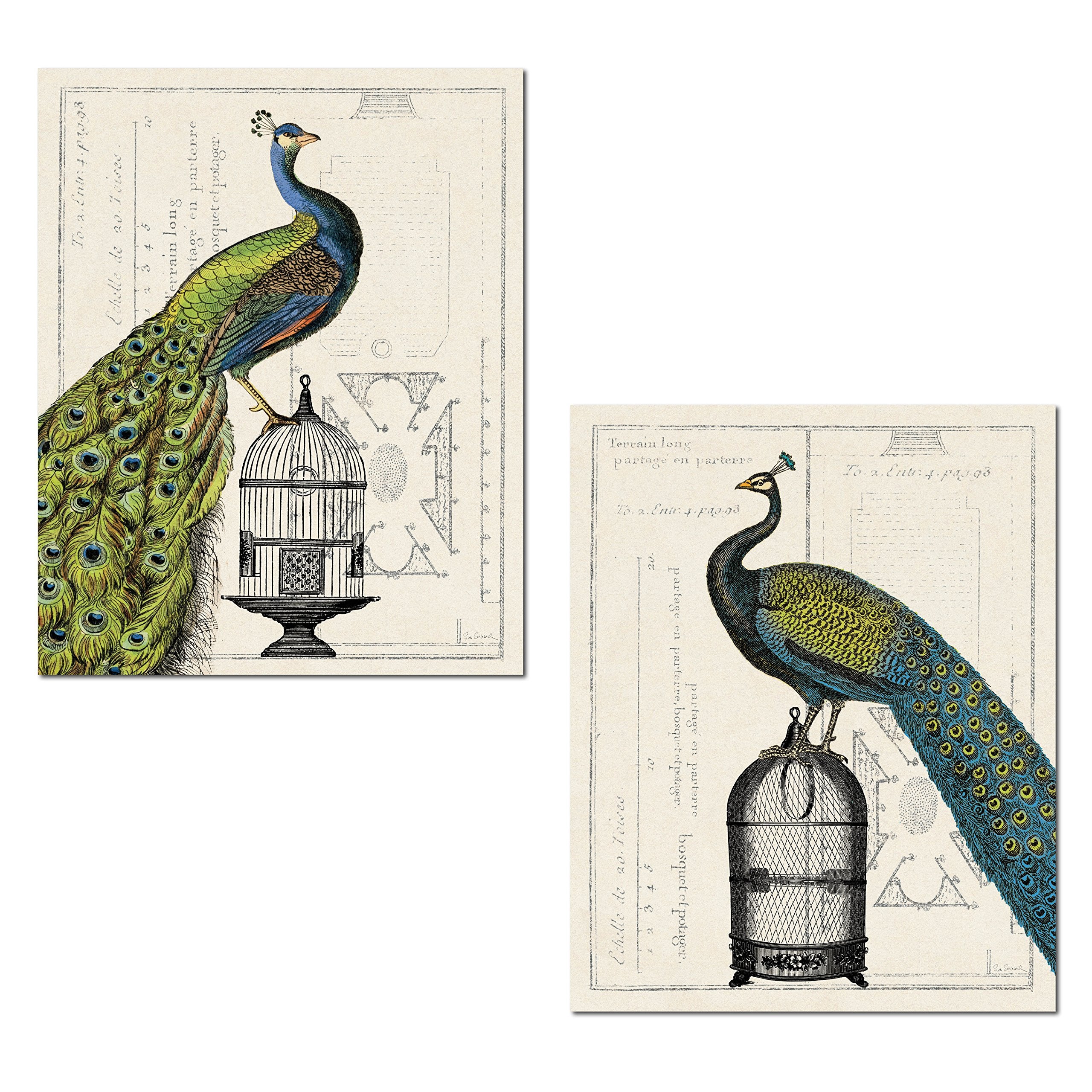 Gango Home Decor Gorgeous Green And Blue Peacock And Birdcage Set By Sue Schlabach; Two 11X14In Unframed Paper Posters
