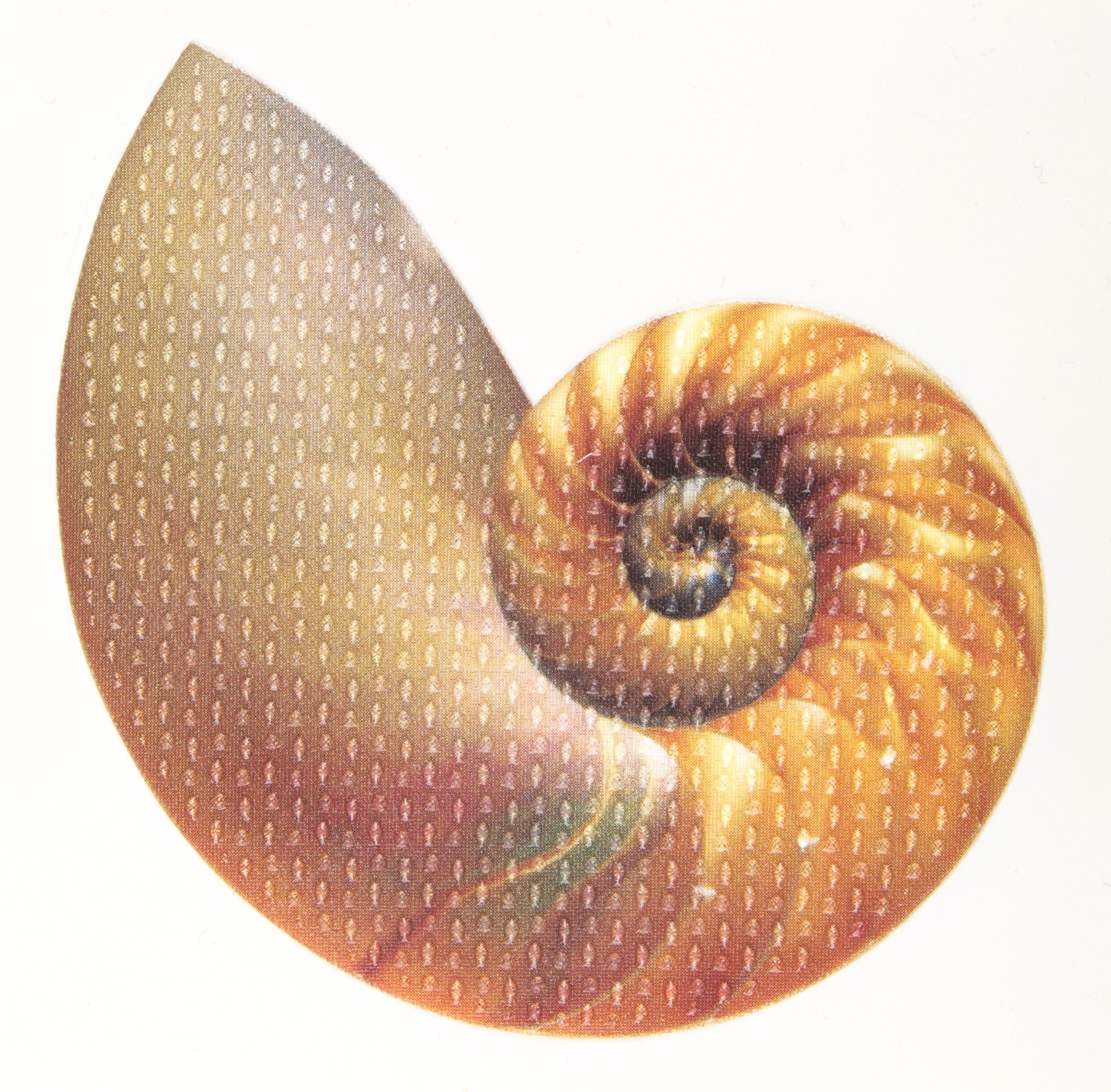Ginsey Aquatouch Textured Shell Tub Treads - Built From Durable Pvc - Easy Installation - 10-Pack