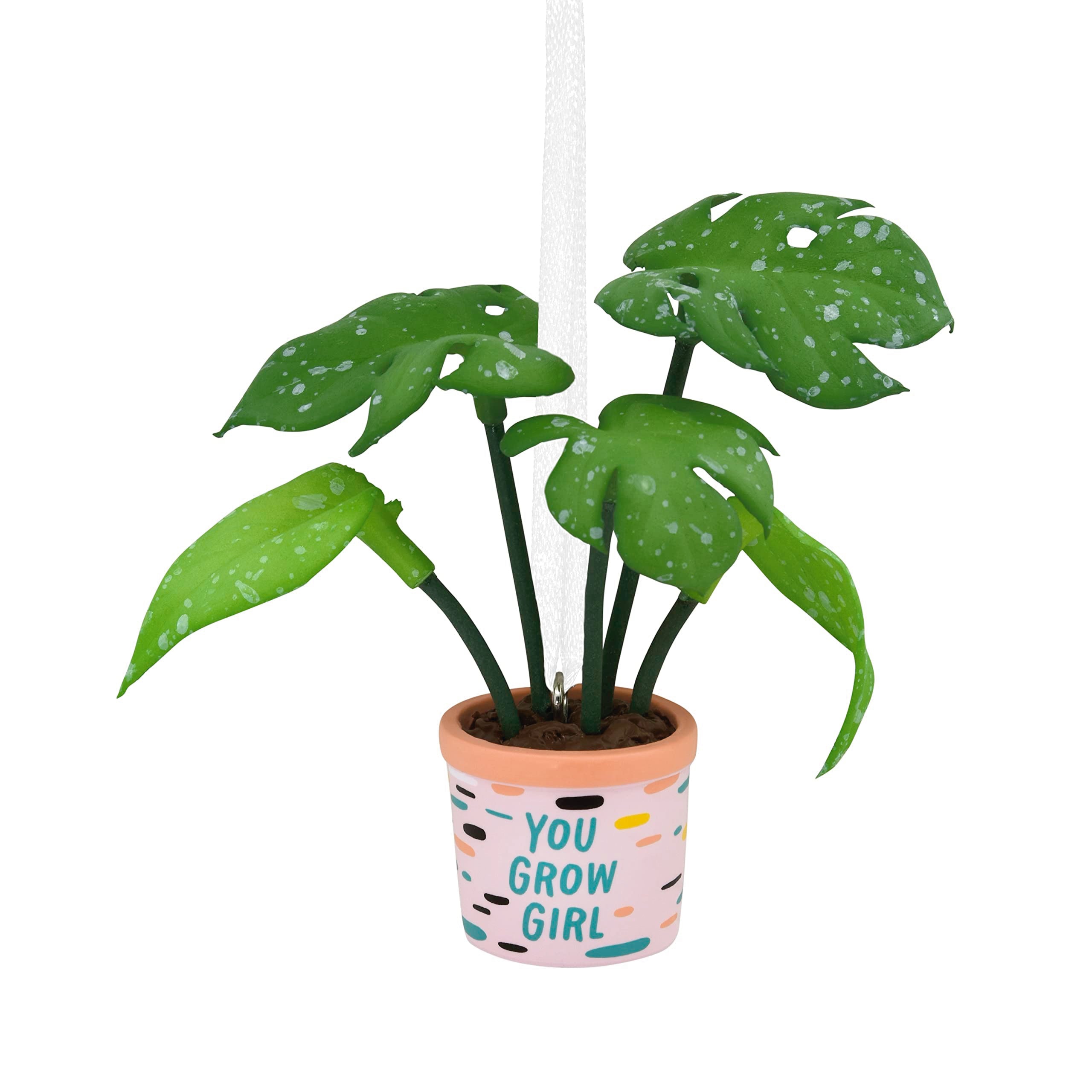 Hallmark Greenhouse Botanicals Christmas Ornament