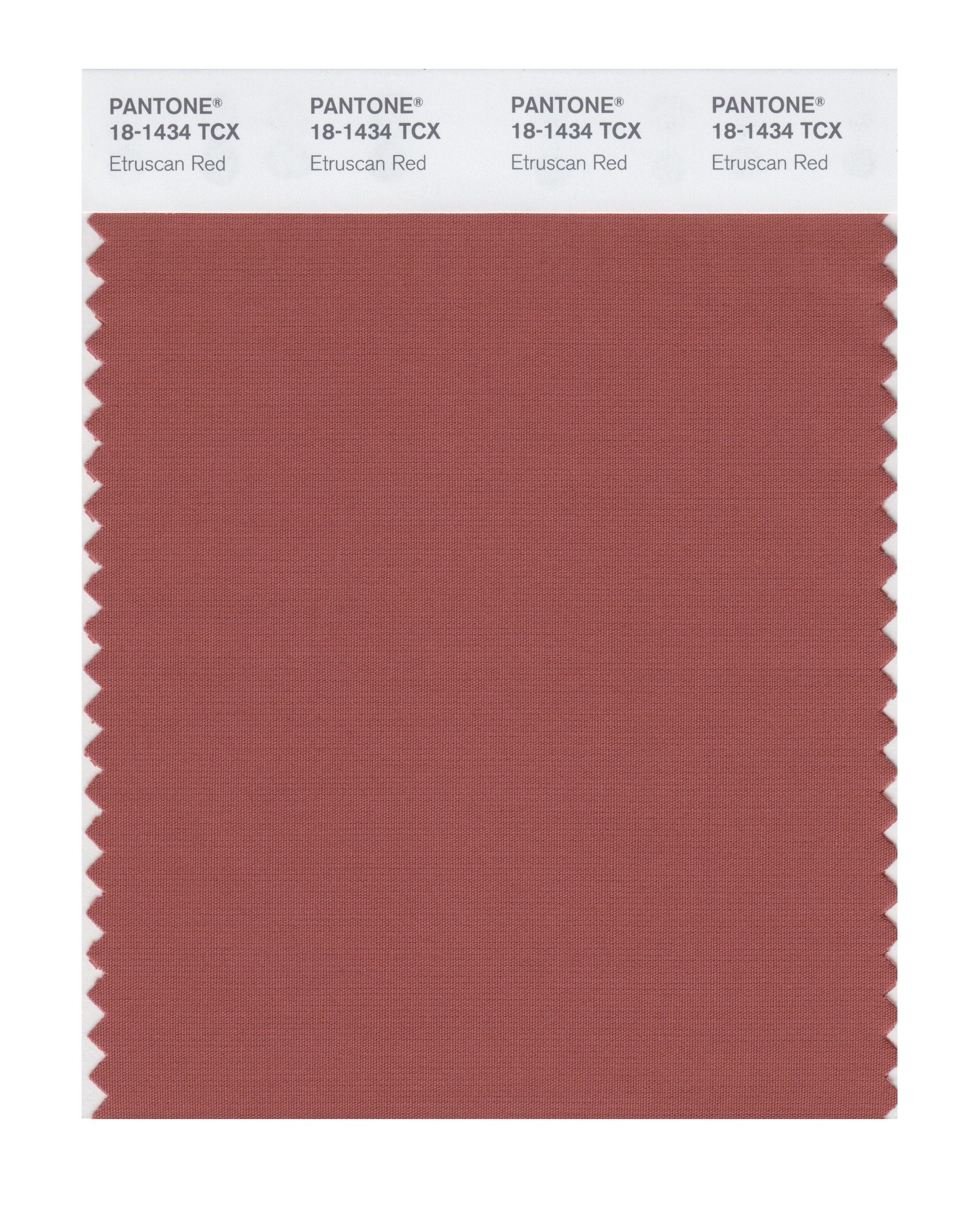 PANTONE SMART 18-1434X Color Swatch Card, Etruscan Red
