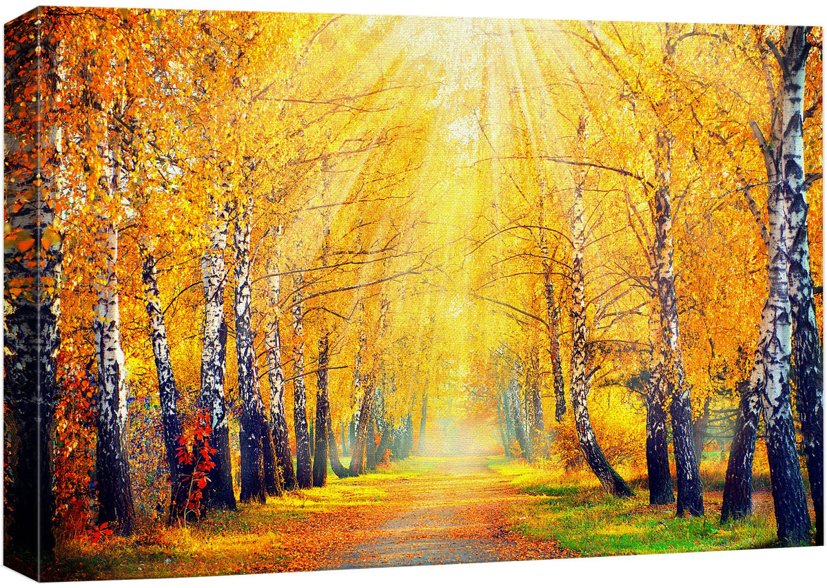 Wall26 Canvas Print Wall Art Sunlight Shine Over Yellow Autumn Forest Path Nature Wilderness Photography Modern Art Rustic Sceni