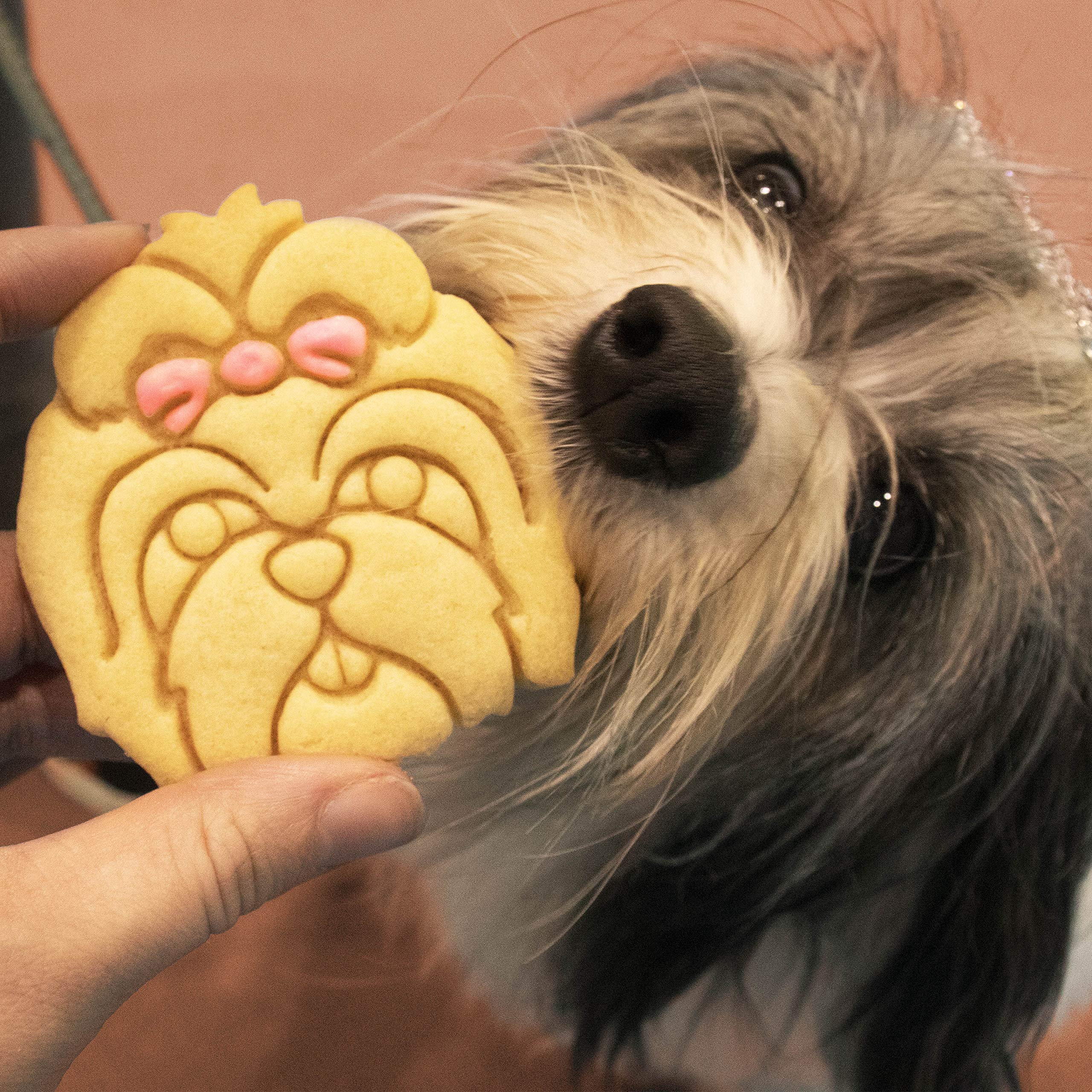 Shih Tzu Face Cookie Cutter, 1 Piece - Bakerlogy