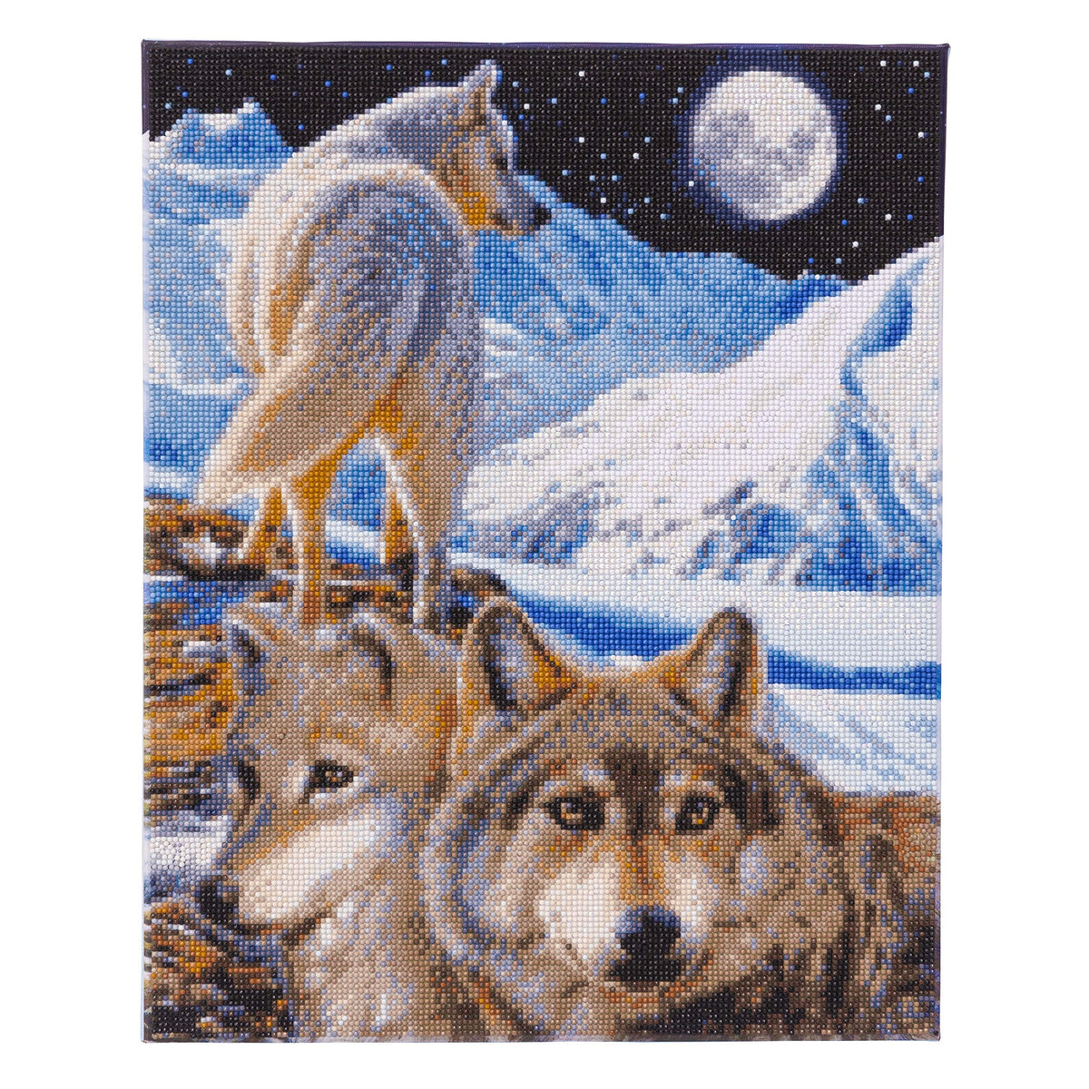 Crystal Art The Sentinel 40 X 50 Cm Portrait Framed Kit