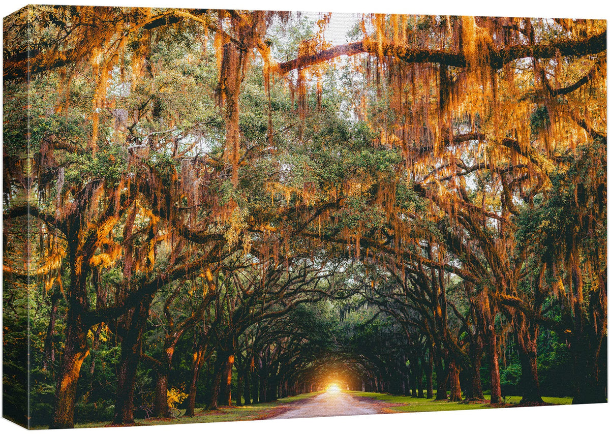 Wall26 Canvas Print Wall Art Autumn Fall Orange Hanging Tree Canopy Nature Wilderness Photography Realism Earth Scenery Rustic S