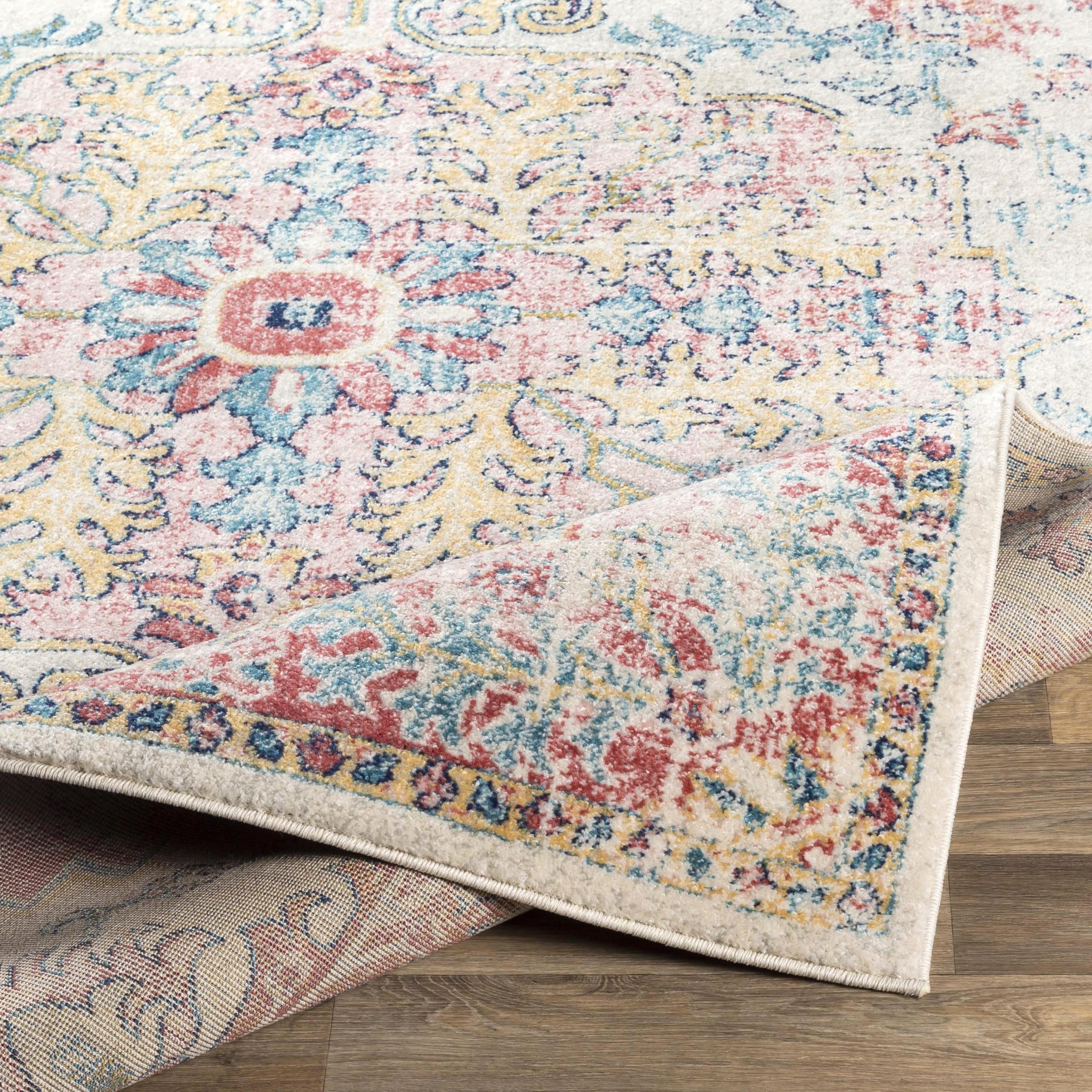 Livabliss Area Rugs - 5x7 Odelia Vintage Boho Red Off-White Blue Area Rug for Living Room Bedroom - Floral Medallion Stain Resis