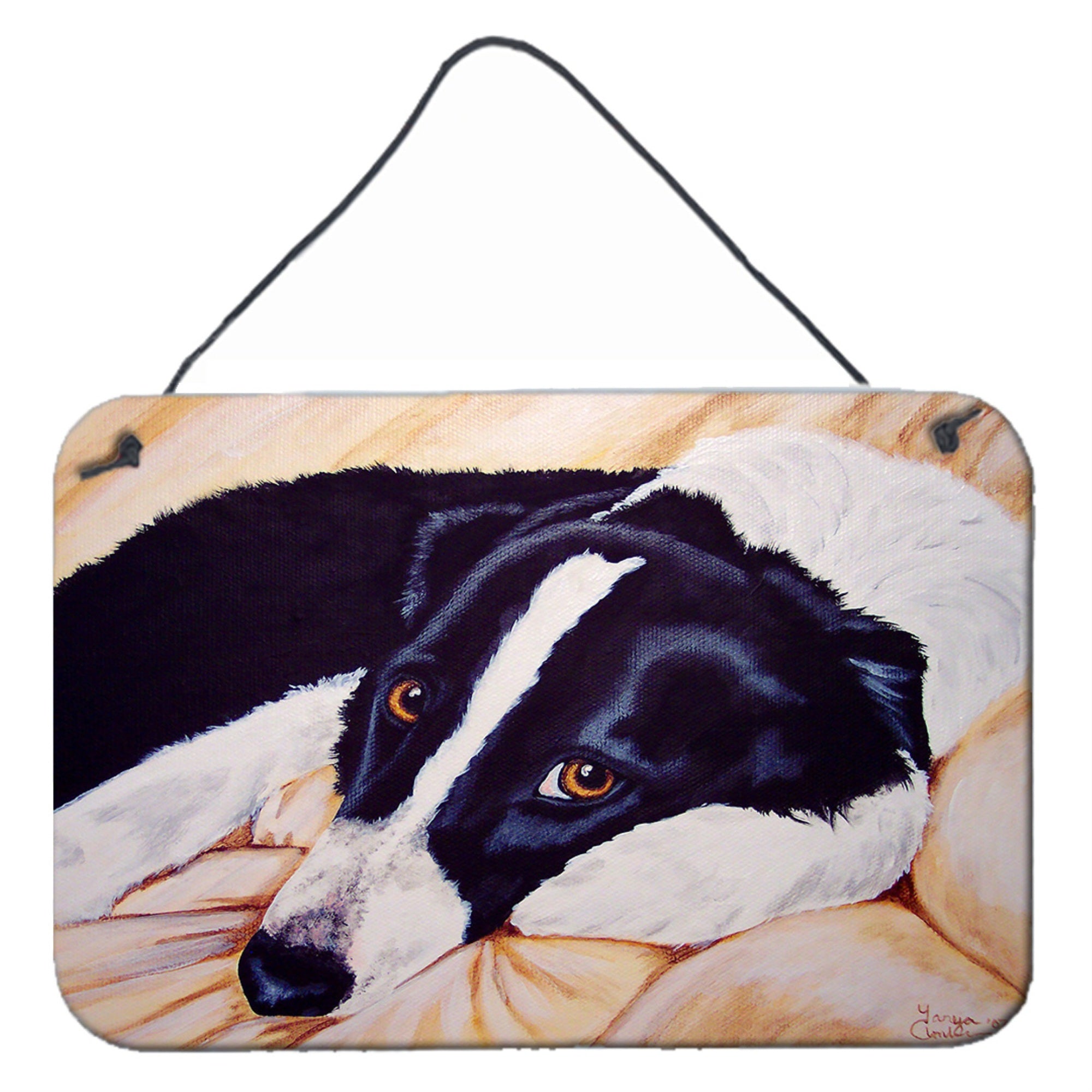 'Caroline'S Treasures Naptime Border Collie Wall Or Door Hanging Prints Amb1080Ds812, 8''''H X 12''''W, Multicolor''