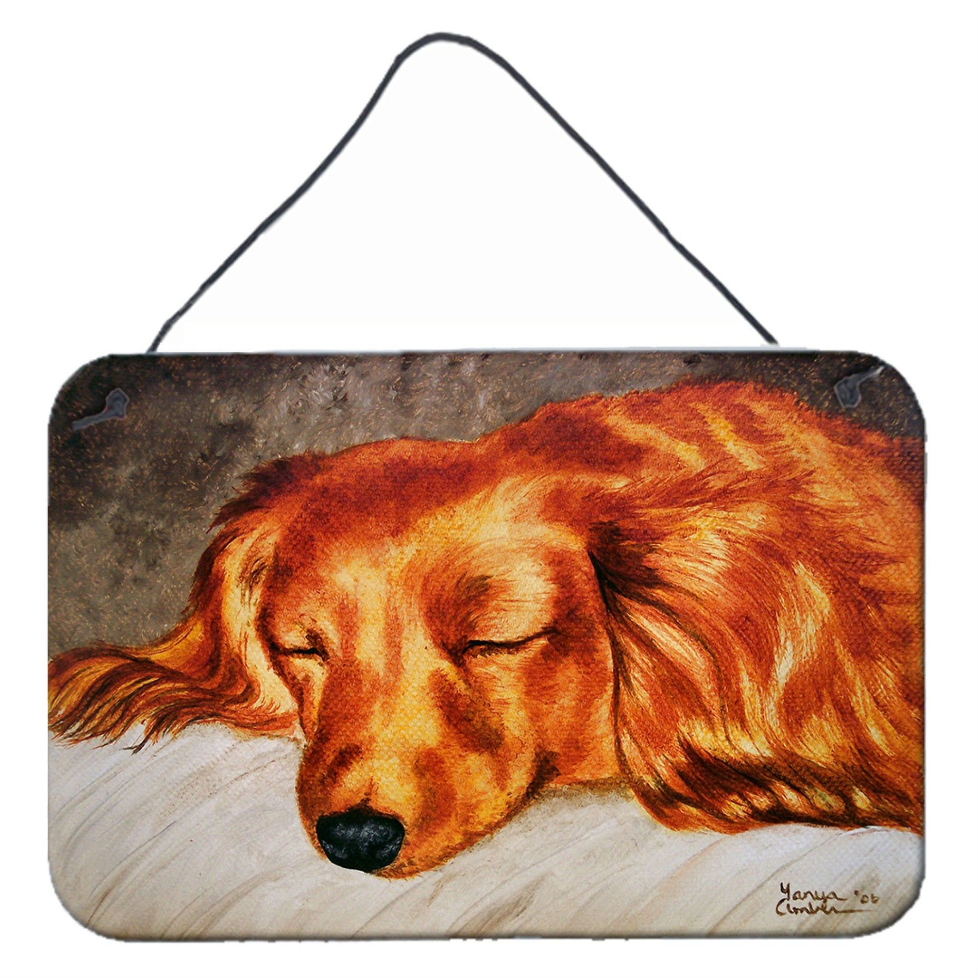 'Caroline'S Treasures Red Longhaired Dachshund Wall Or Door Hanging Prints Amb1202Ds812, 8''''H X 12''''W, Multicolor''