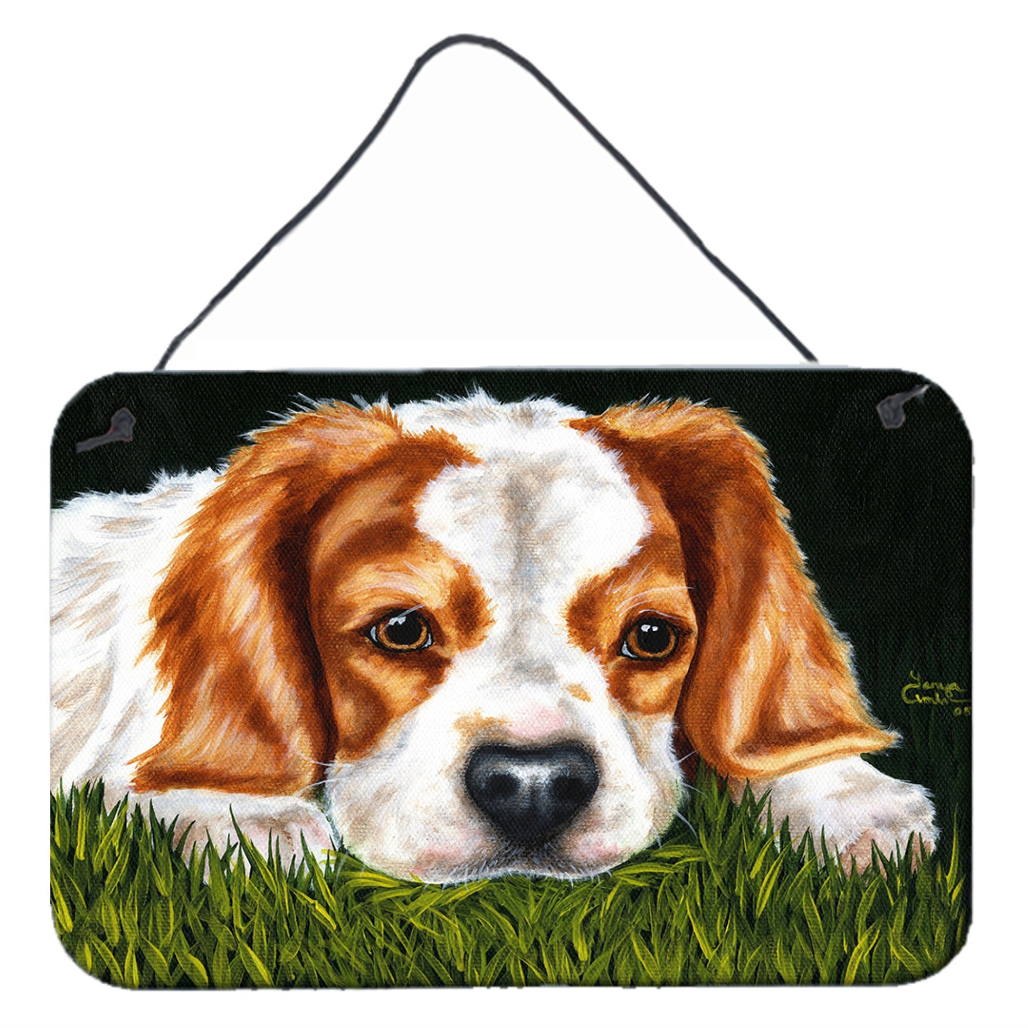'Caroline'S Treasures Cavalier Spaniel In The Grass Wall Or Door Hanging Prints Amb1395Ds812, 8''''H X 12''''W, Multicolor''