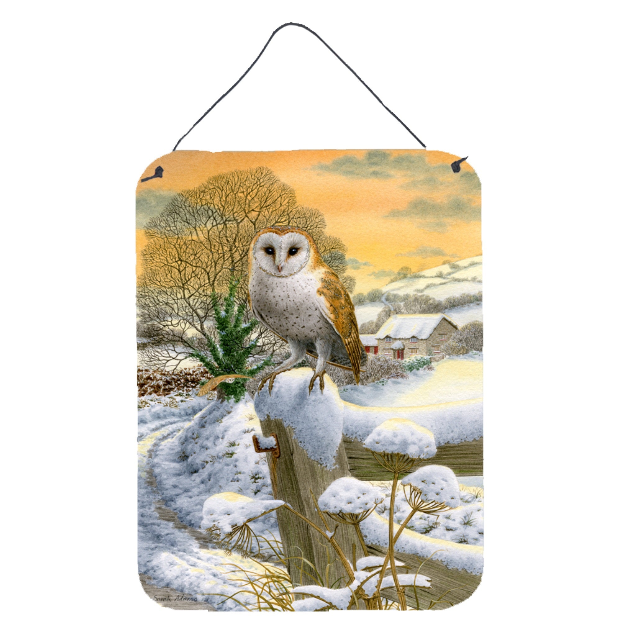 'Caroline'S Treasures Sunset Barn Owl Wall Or Door Hanging Prints Asa2002Ds1216, 16Hx12W, Multicolor''
