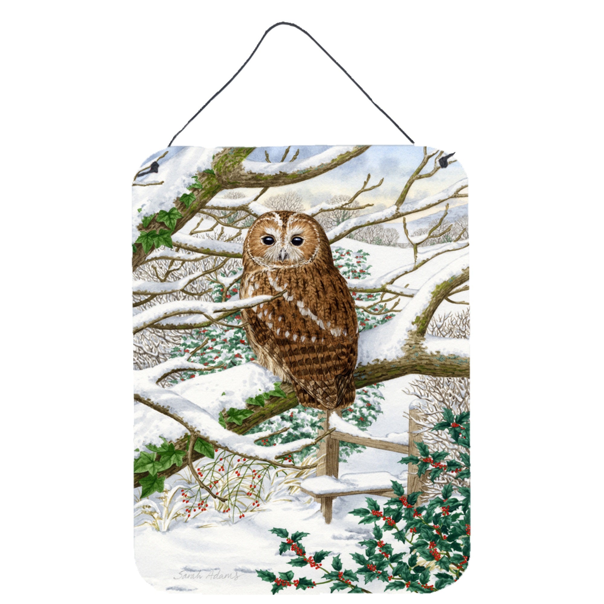 'Caroline'S Treasures Tawny Owl Wall Or Door Hanging Prints Asa2008Ds1216, 16Hx12W, Multicolor''