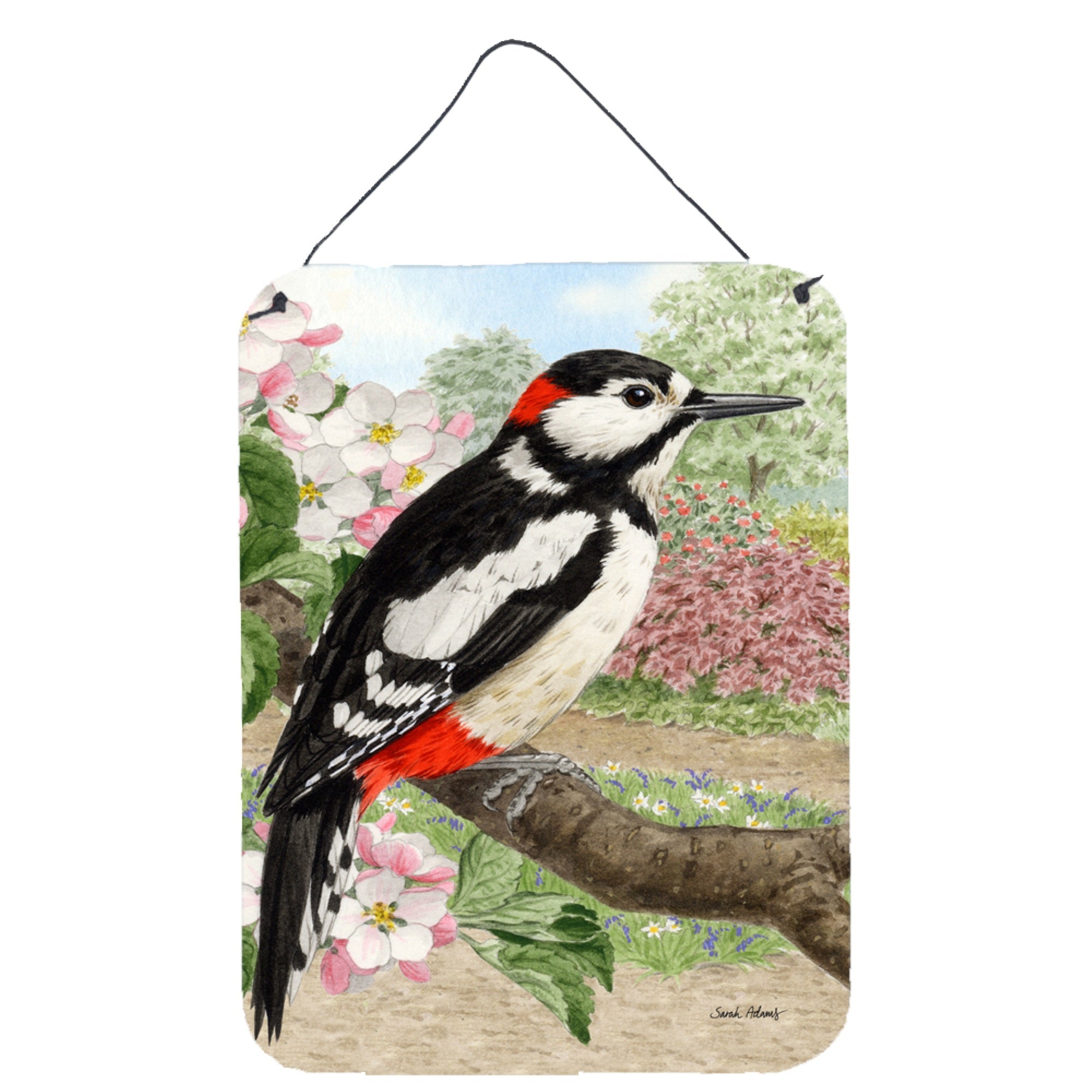 'Caroline'S Treasures Woodpecker Wall Or Door Hanging Prints Asa2018Ds1216, 16Hx12W, Multicolor''