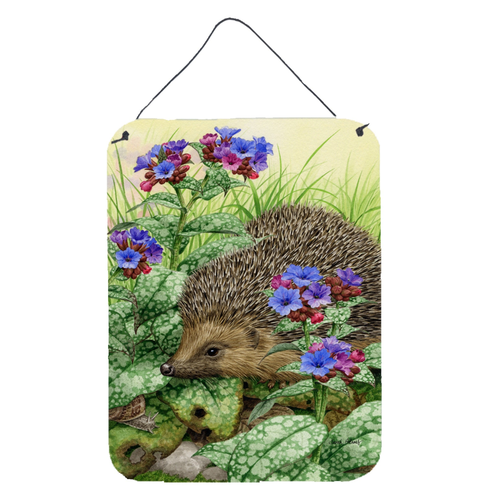 'Caroline'S Treasures Hedgehog Wall Or Door Hanging Prints Asa2022Ds1216, 16Hx12W, Multicolor''