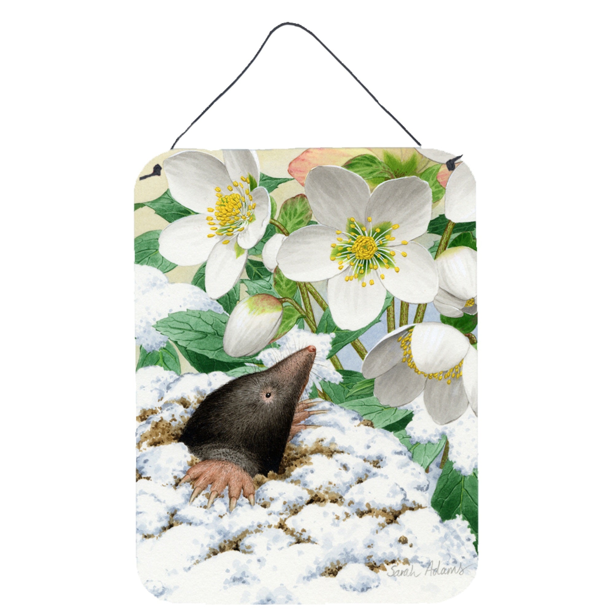 'Caroline'S Treasures Mole Wall Or Door Hanging Prints Asa2031Ds1216, 16Hx12W, Multicolor''