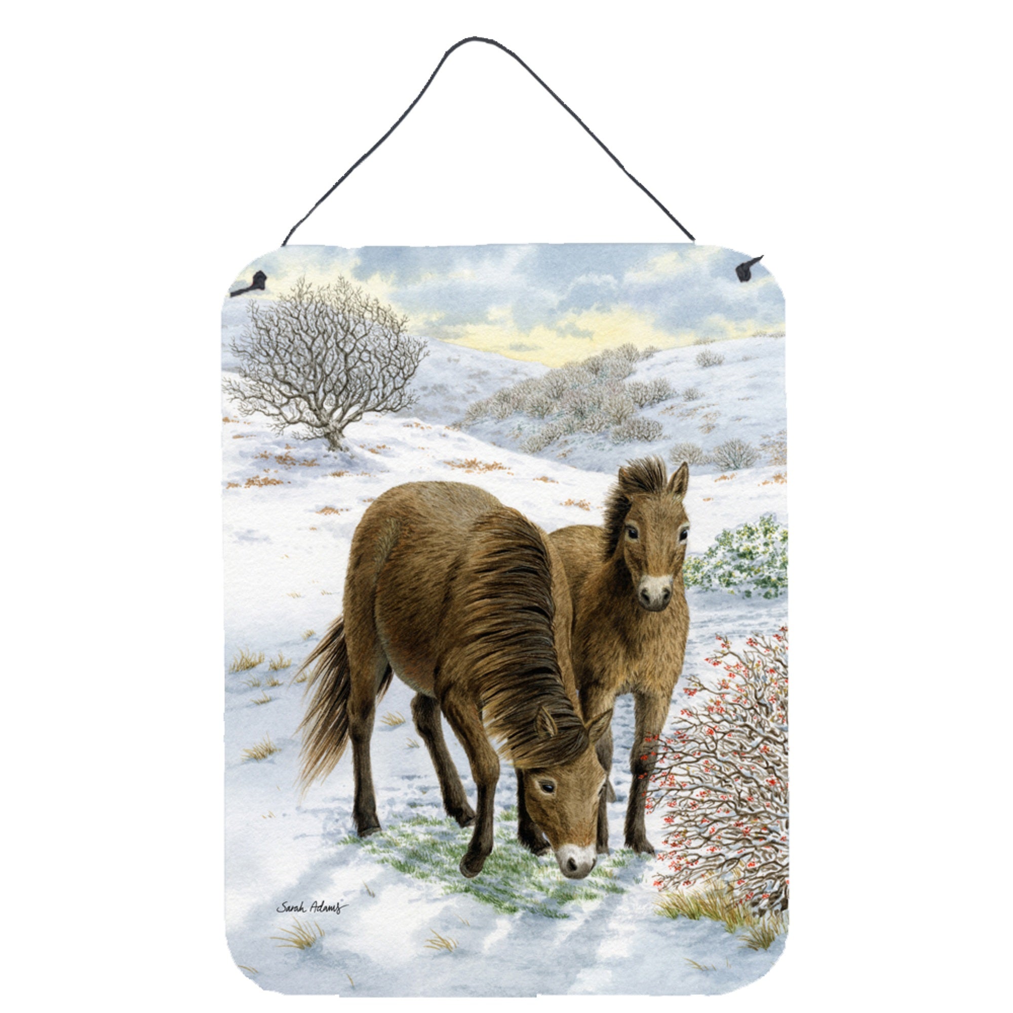 'Caroline'S Treasures Exmoor Ponies Horse Wall Or Door Hanging Prints Asa2032Ds1216, 16Hx12W, Multicolor''