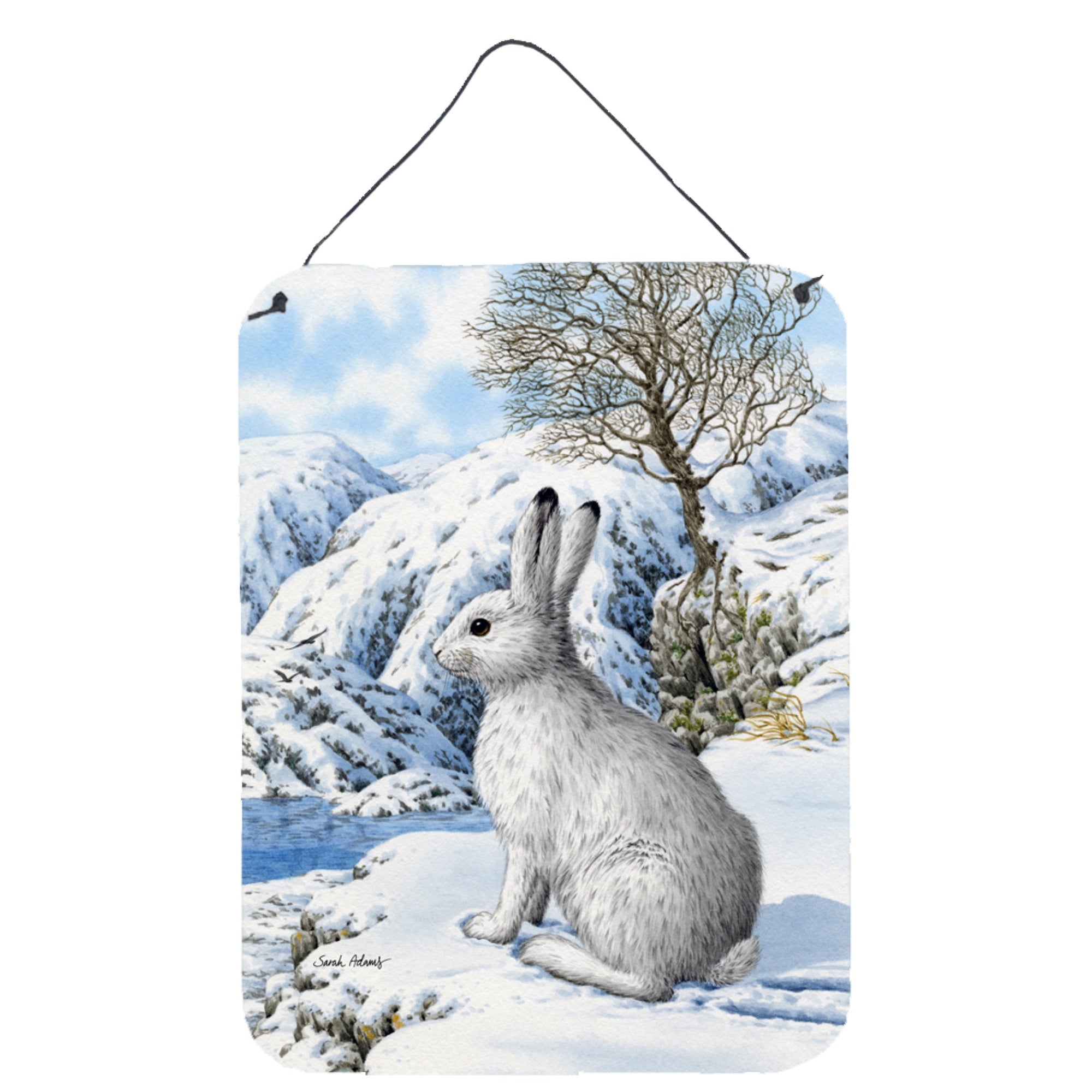 'Caroline'S Treasures Mountain Hare White Rabbit Wall Or Door Hanging Prints Asa2037Ds1216, 16Hx12W, Multicolor''