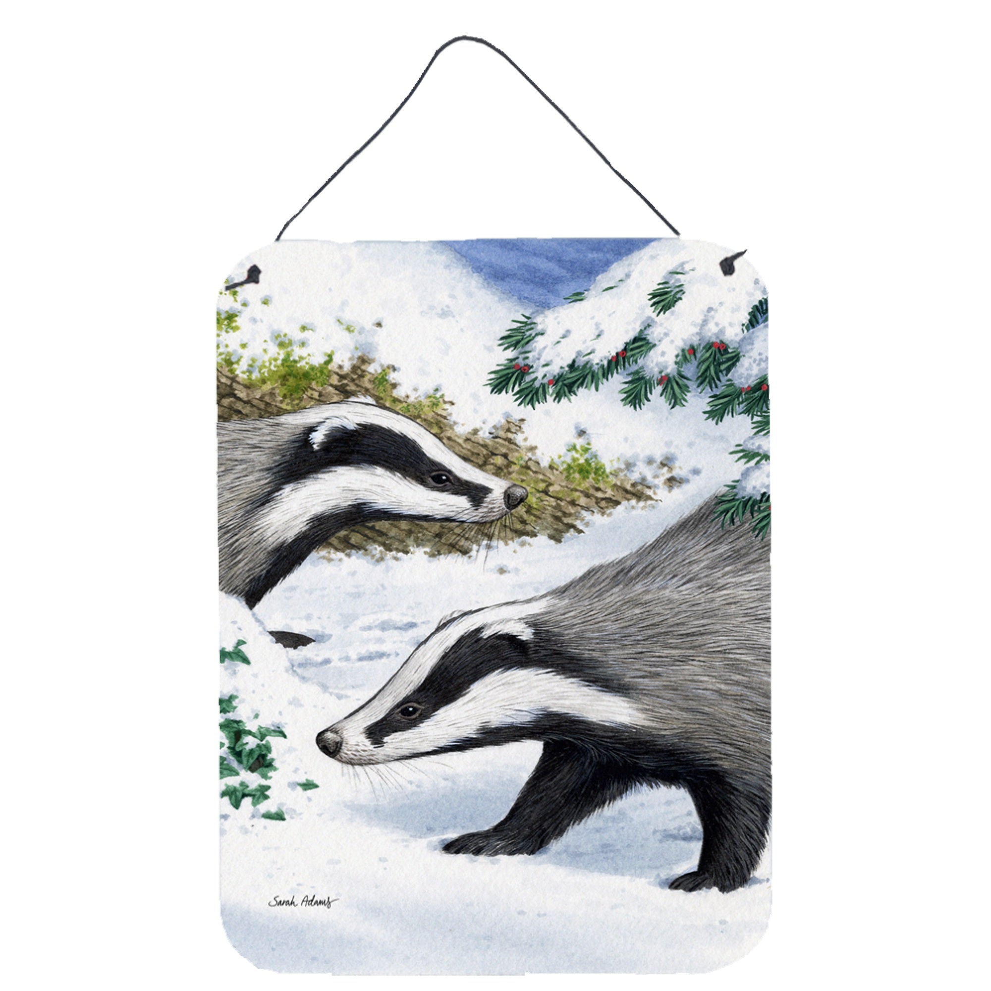 'Caroline'S Treasures Badgers Look Here Wall Or Door Hanging Prints Asa2040Ds1216, 16Hx12W, Multicolor''