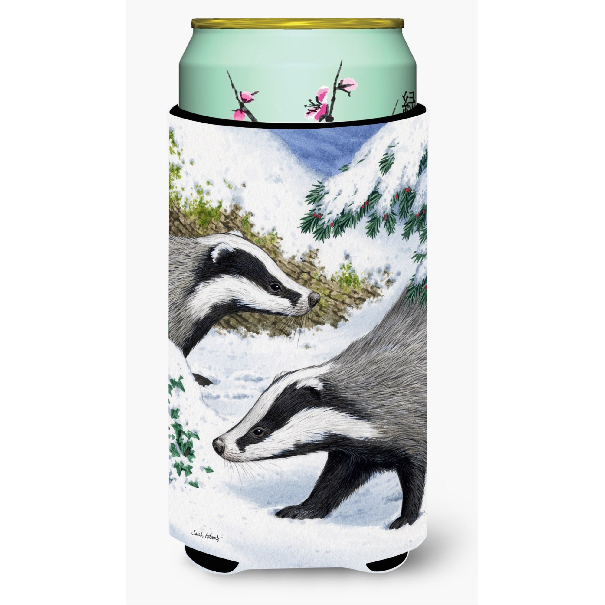 'Caroline'S Treasures Badgers Look Here Tall Boy Koozie Hugger, Multicolor''