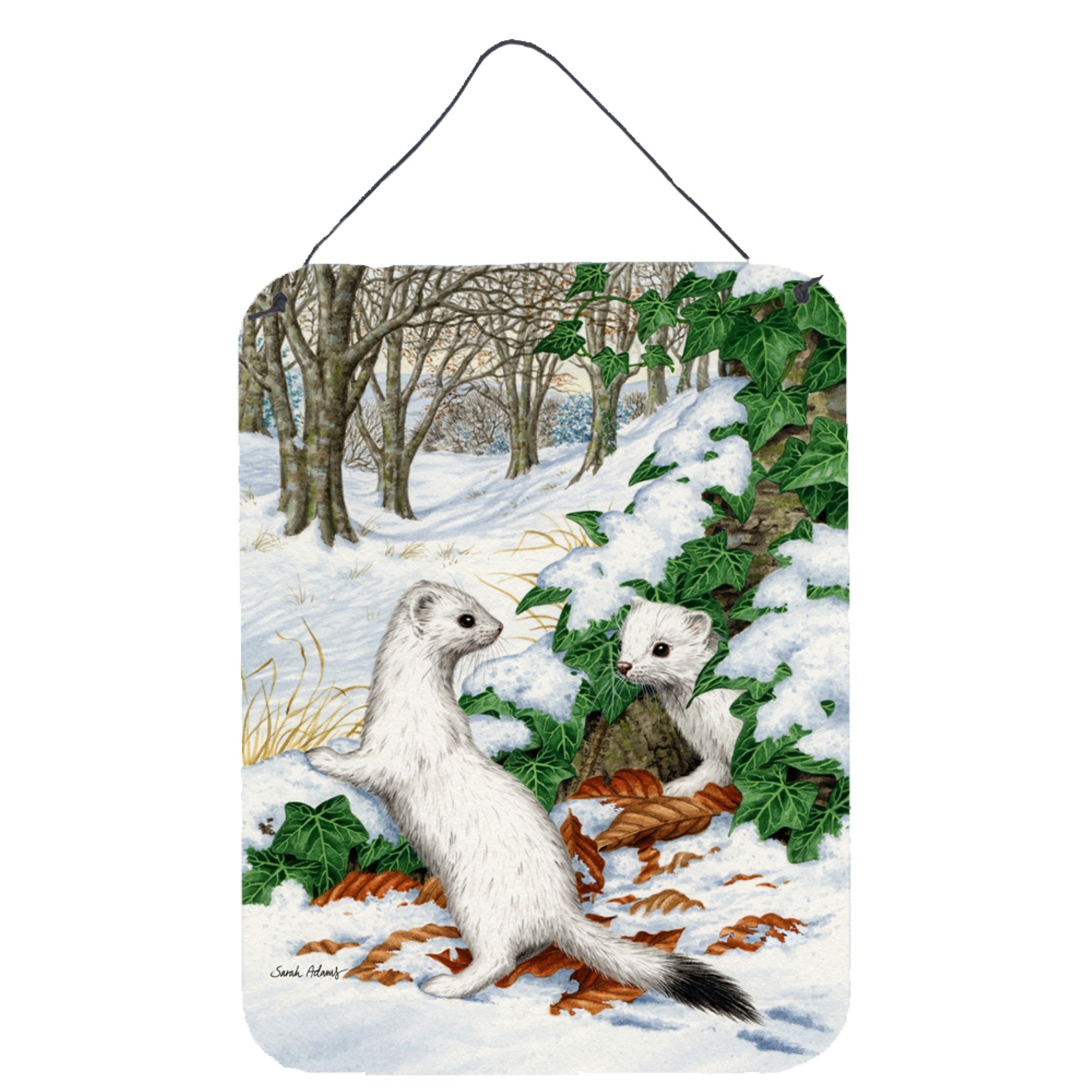 'Caroline'S Treasures Stoats Short-Tailed Weasel Wall Or Door Hanging Prints Asa2042Ds1216, 16Hx12W, Multicolor''