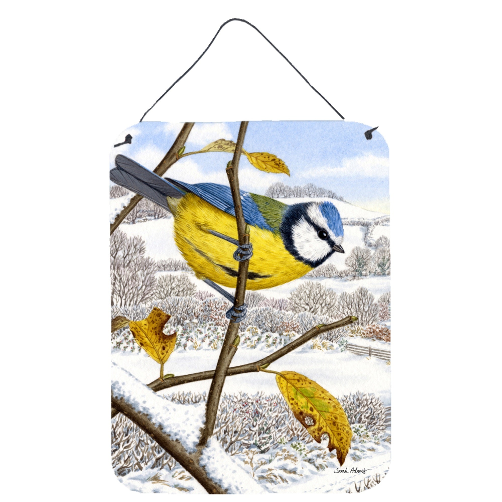 'Caroline'S Treasures Eurasian Blue Tits Bird Wall Or Door Hanging Prints Asa2051Ds1216, 16Hx12W, Multicolor''