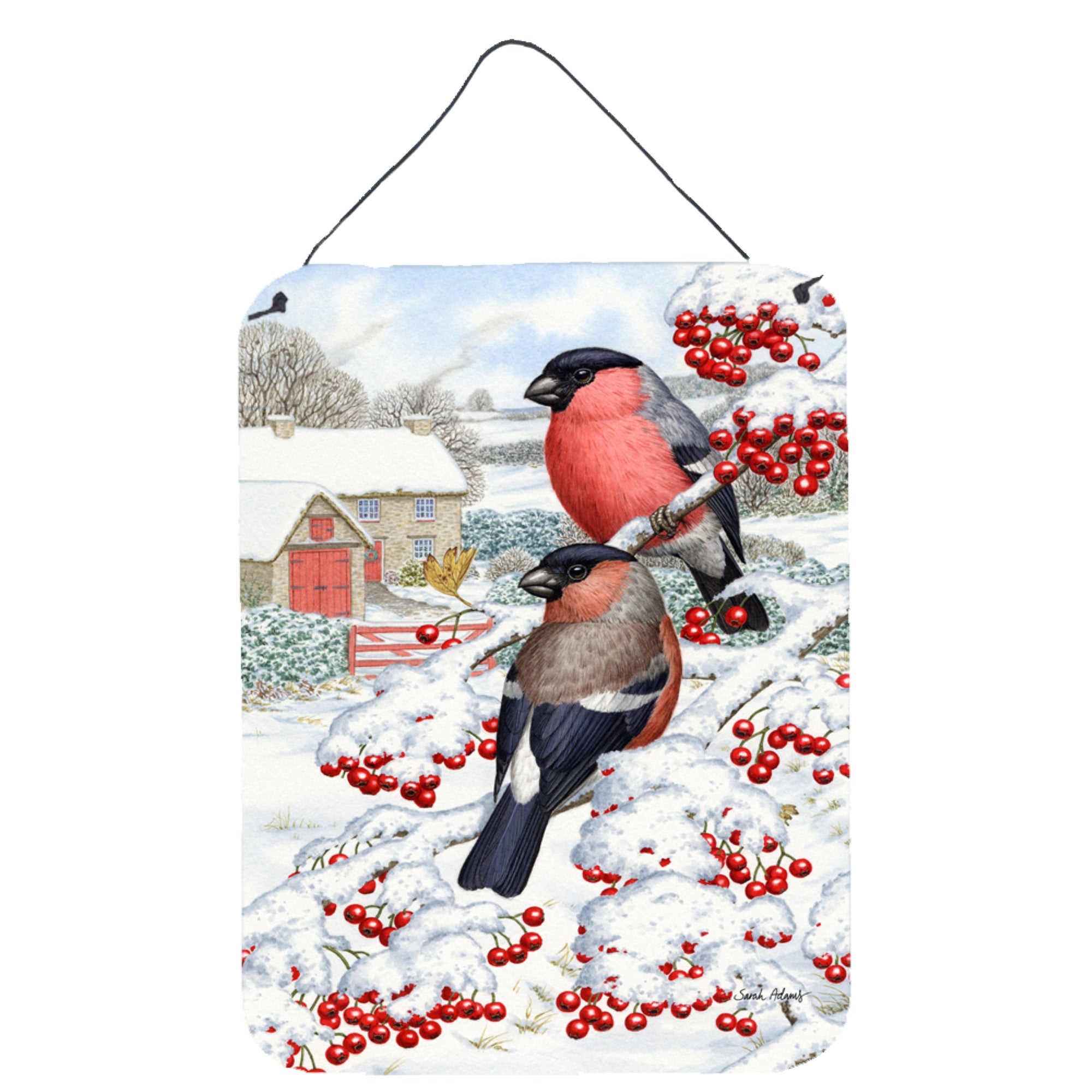 'Caroline'S Treasures Eurasian Bullfinch Wall Or Door Hanging Prints Asa2054Ds1216, 16Hx12W, Multicolor''