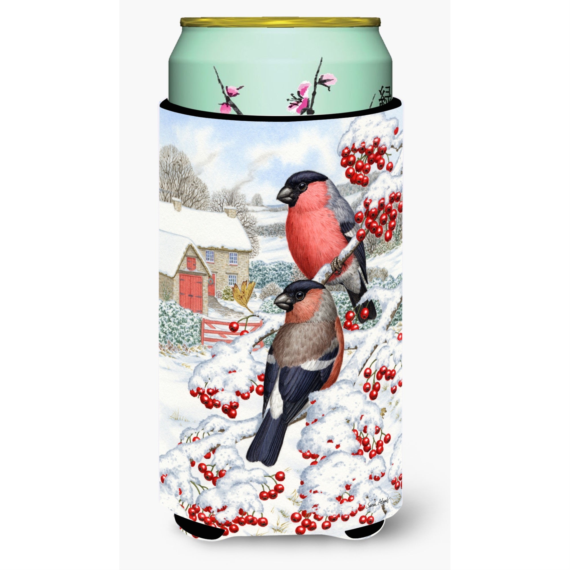 'Caroline'S Treasures Asa2054Tbc Eurasian Bullfinch Tall Boy Koozie Hugger, Multicolor''