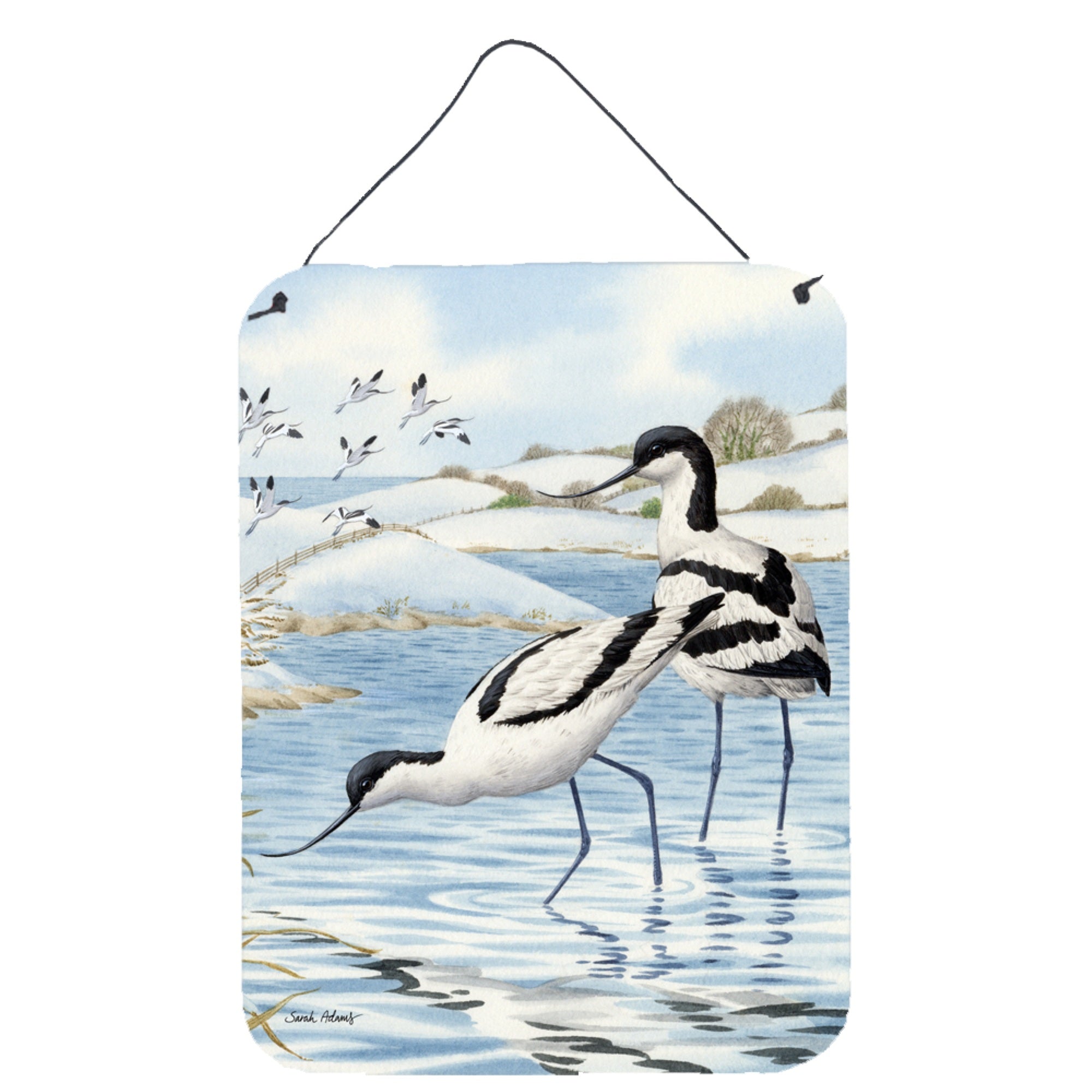 'Caroline'S Treasures Avocets Wall Or Door Hanging Prints Asa2056Ds1216, 16Hx12W, Multicolor''