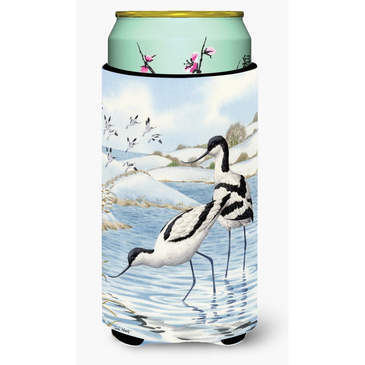 'Caroline'S Treasures Avocets Tall Boy Koozie Hugger, Multicolor''