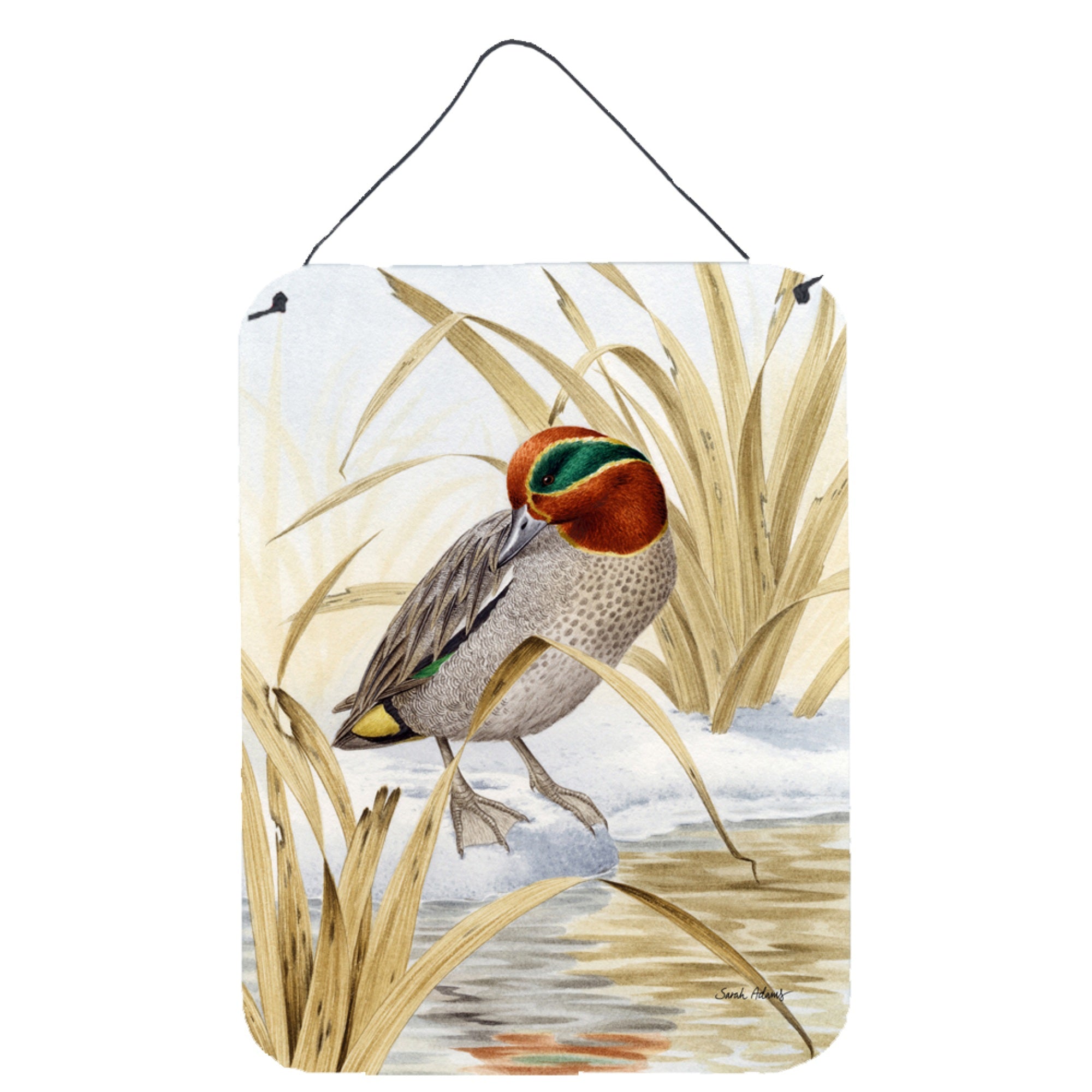 'Caroline'S Treasures Eurasian Teal Duck Wall Or Door Hanging Prints Asa2059Ds1216, 16Hx12W, Multicolor''