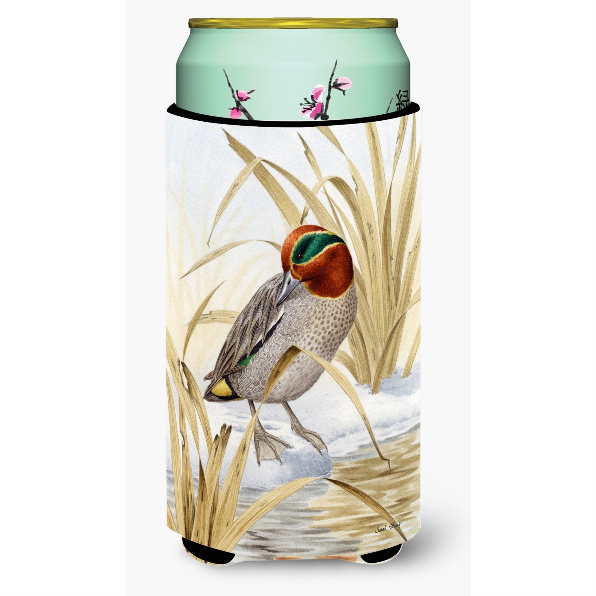 'Caroline'S Treasures Eurasian Teal Duck Tall Boy Koozie Hugger, Multicolor''