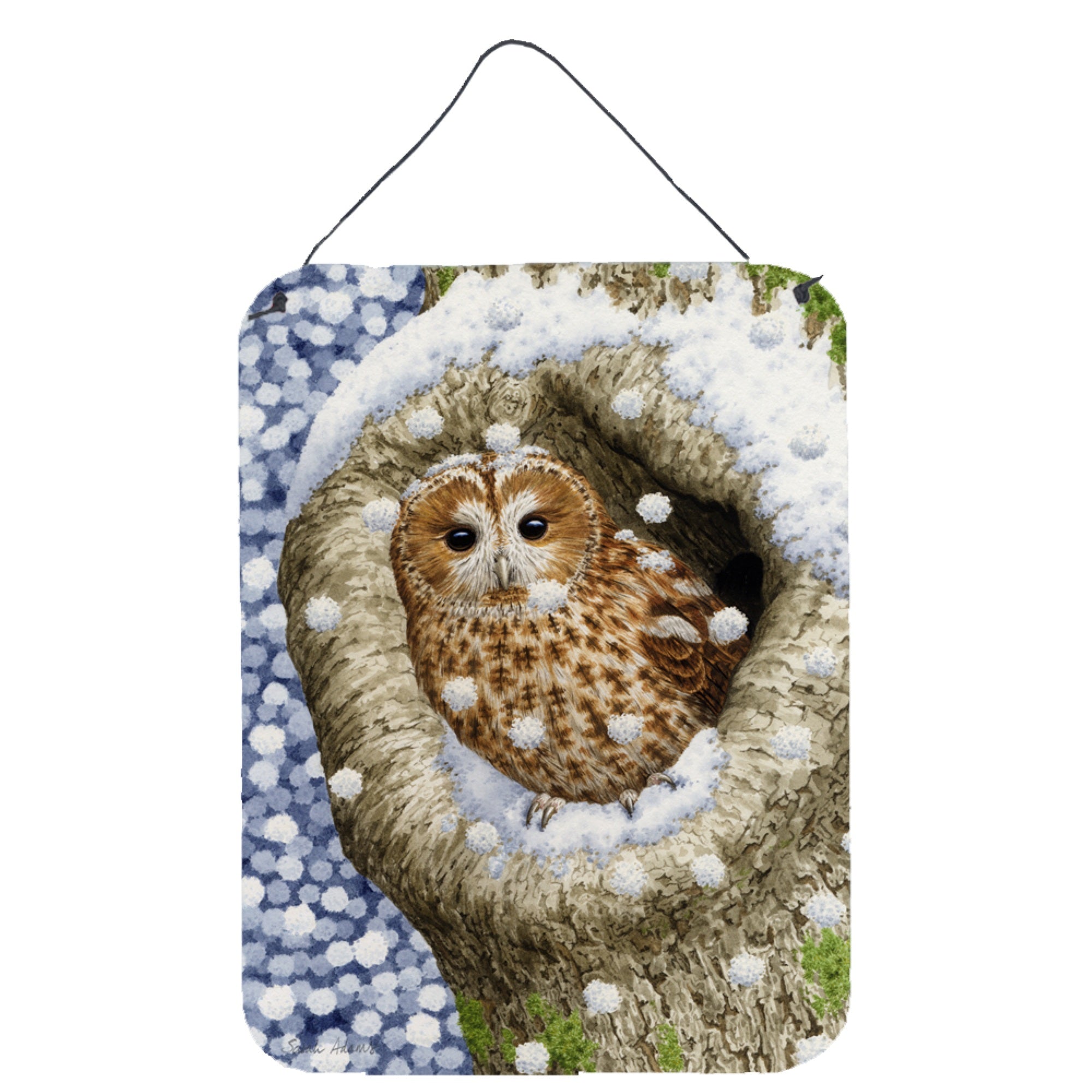 'Caroline'S Treasures Tawny Owl In The Tree Wall Or Door Hanging Prints Asa2060Ds1216, 16Hx12W, Multicolor''