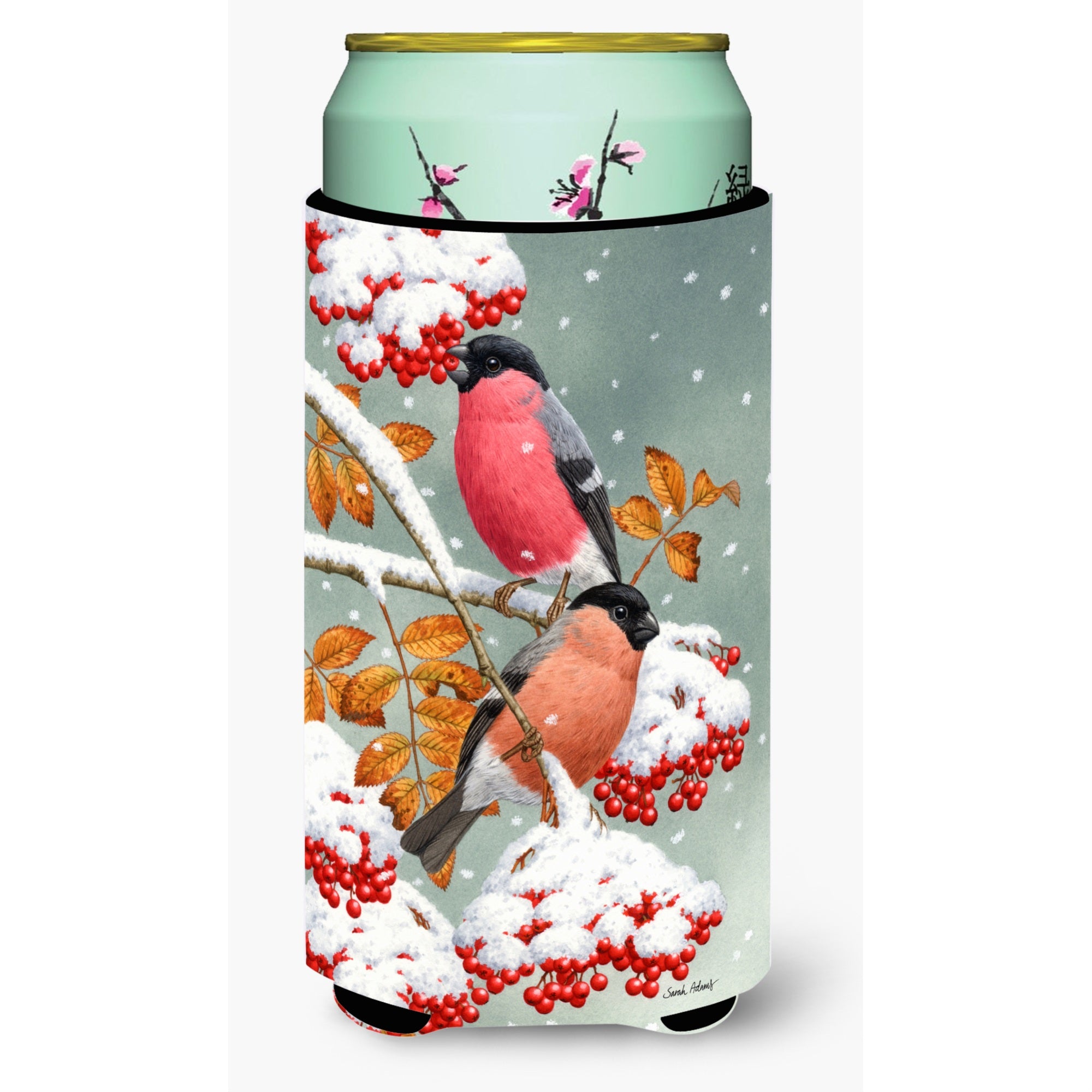 'Caroline'S Treasures Asa2063Tbc Eurasian Bullfinches Tall Boy Koozie Hugger, Multicolor''