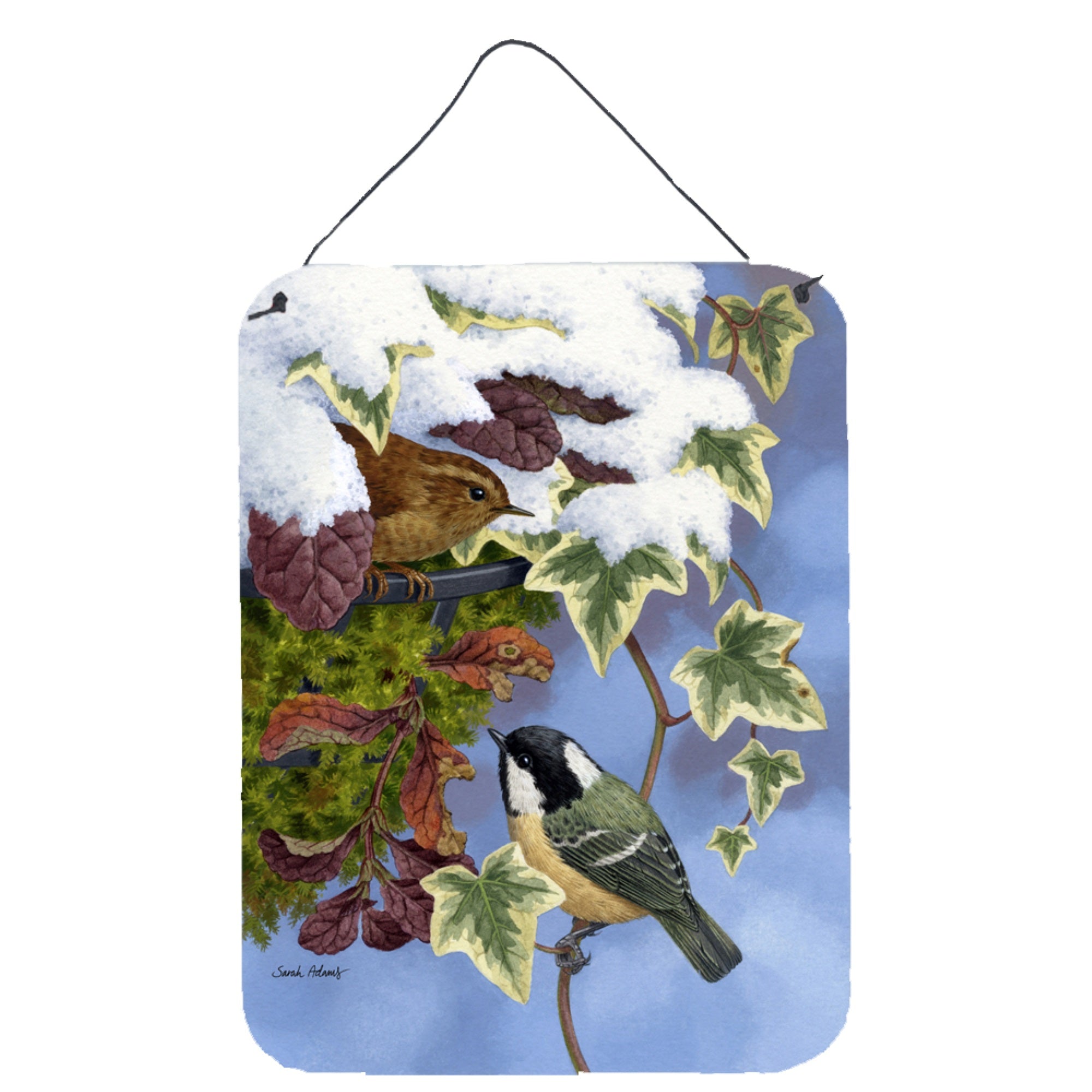 'Caroline'S Treasures Coal Tit & Wren Wall Or Door Hanging Prints Asa2064Ds1216, 16Hx12W, Multicolor''