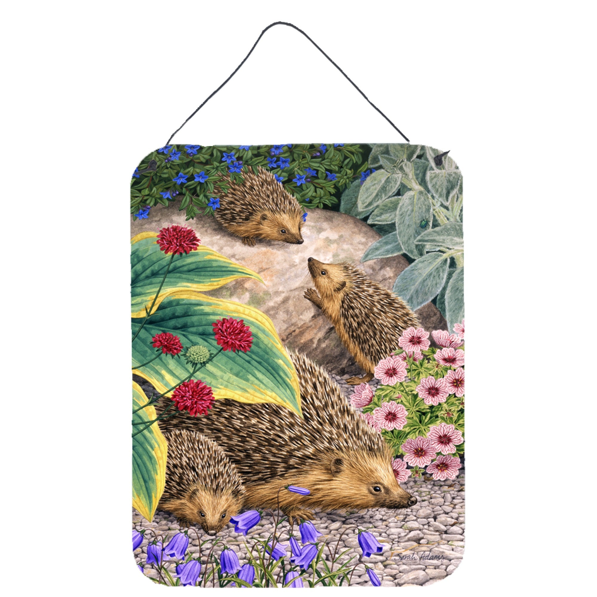 'Caroline'S Treasures Hedgehogs Wall Or Door Hanging Prints Asa2072Ds1216, 16Hx12W, Multicolor''