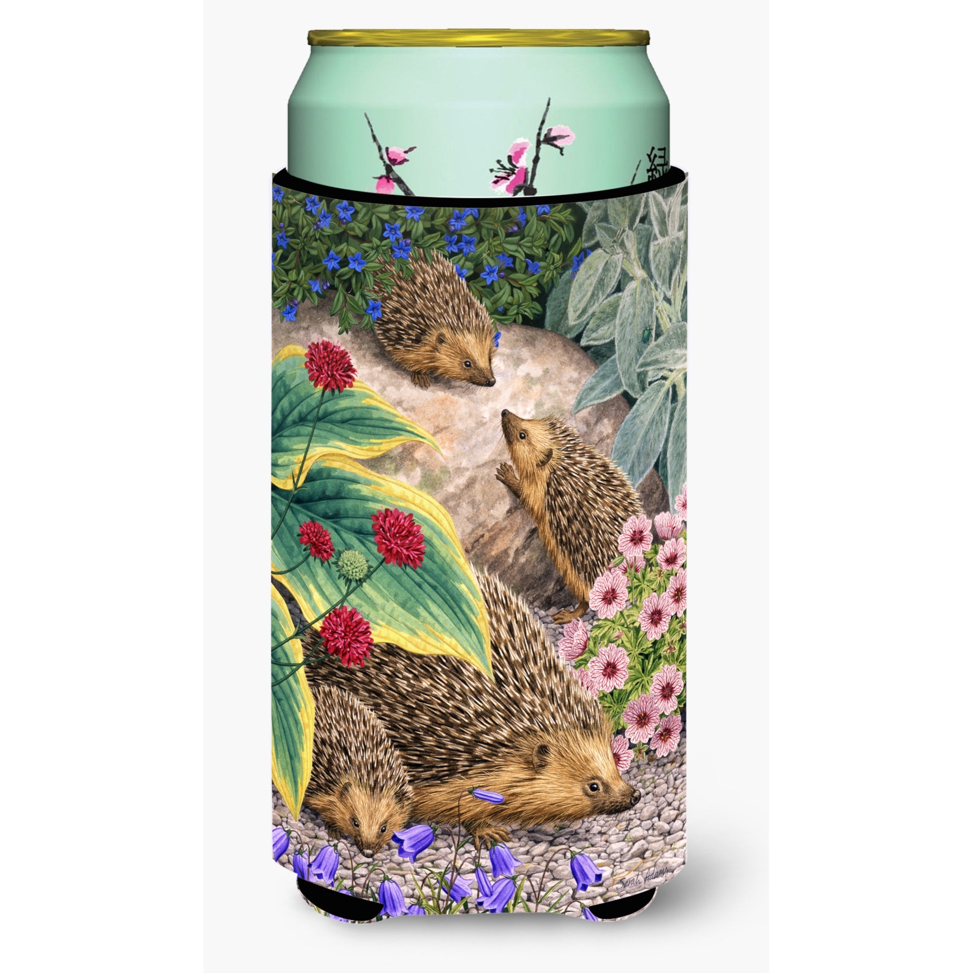 'Caroline'S Treasures Hedgehogs Tall Boy Koozie Hugger, Multicolor''