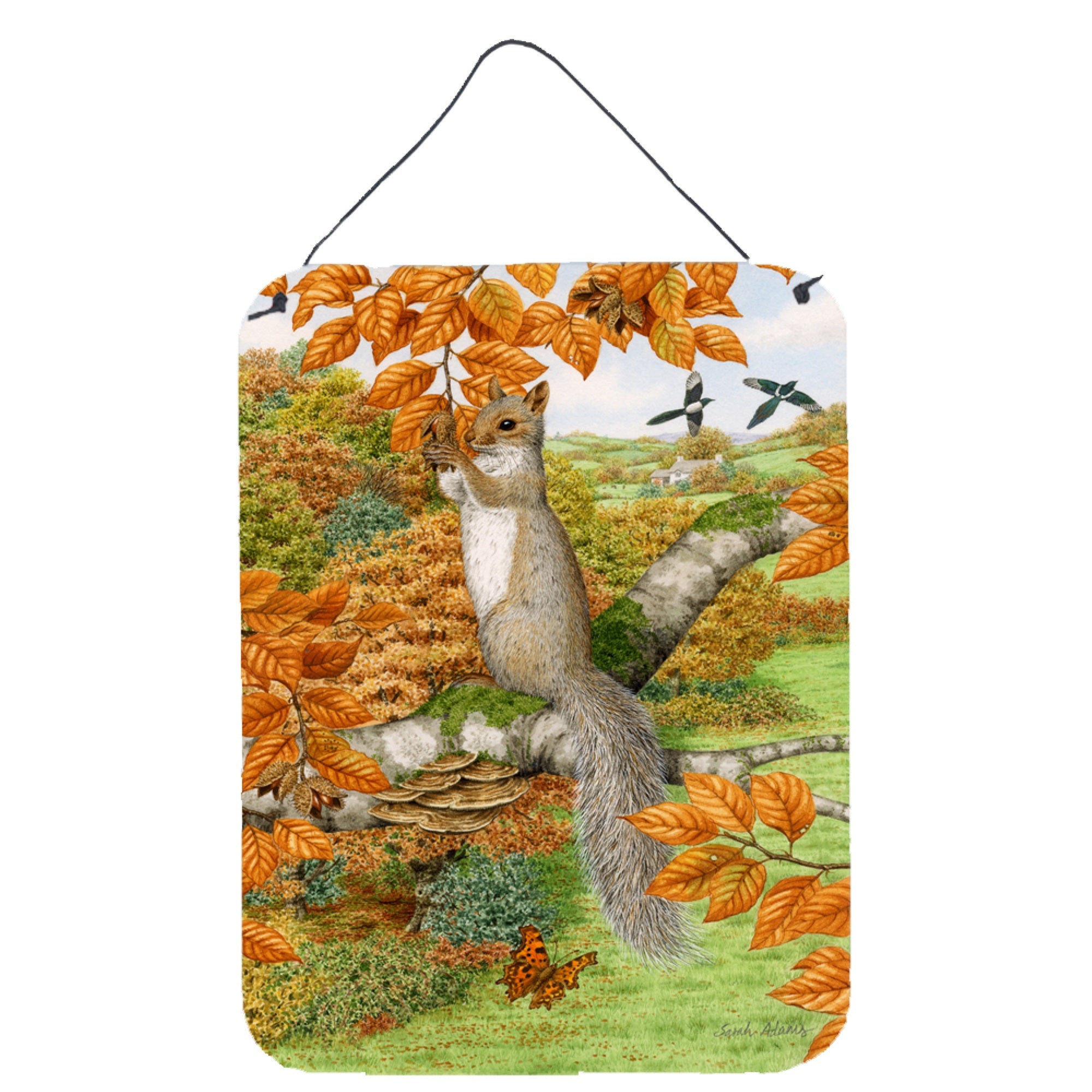 'Caroline'S Treasures Grey Squirrel Wall Or Door Hanging Prints Asa2074Ds1216, 16Hx12W, Multicolor''